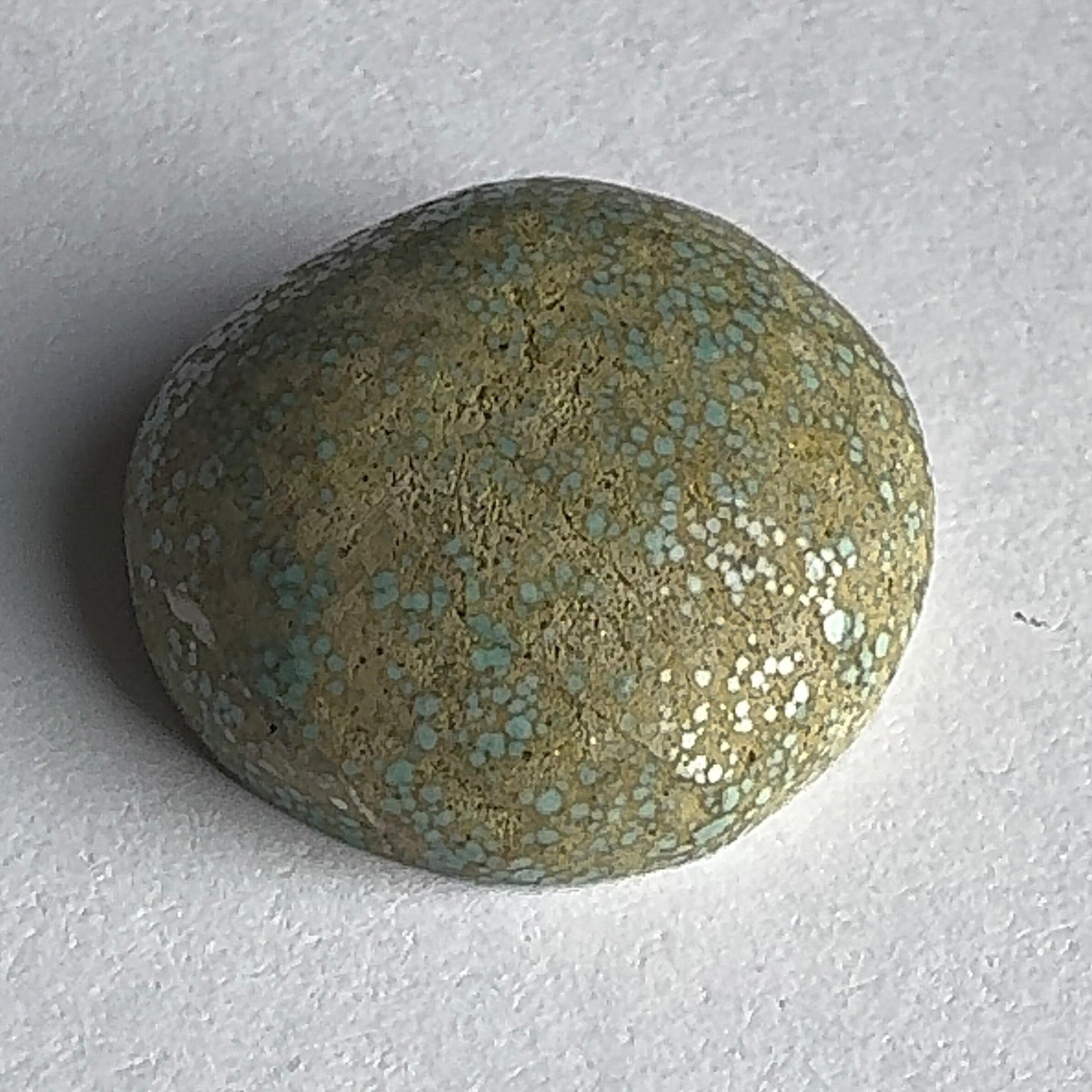 28ct Variscite bi valve pseudomorph