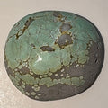 7ct Variscite bi valve pseudomorph