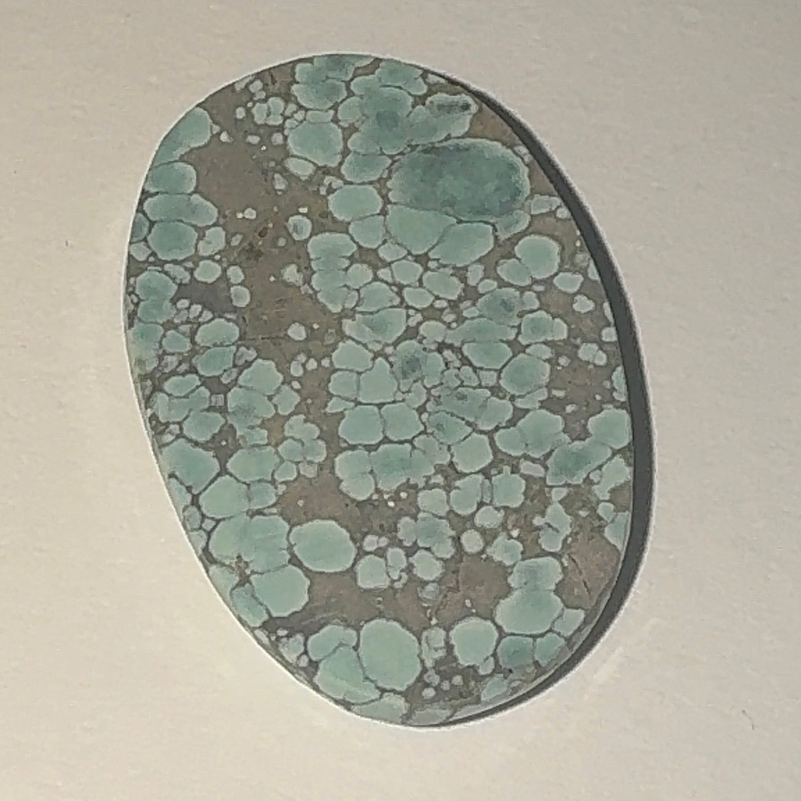 22ct Variscite bi valve pseudomorph