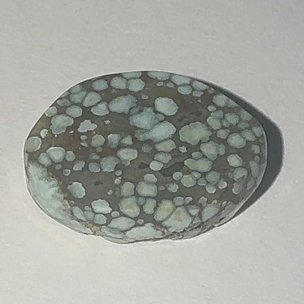 9ct Variscite bi valve pseudomorph