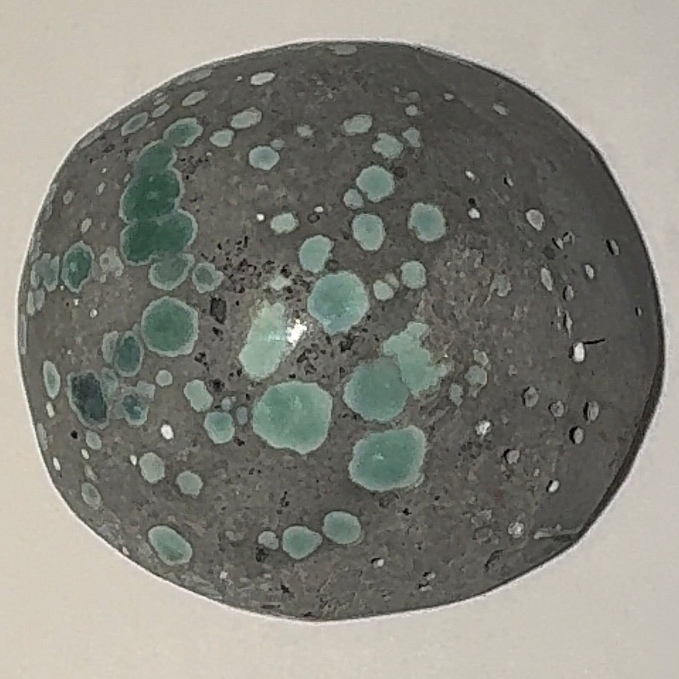 6ct Variscite bi valve pseudomorph