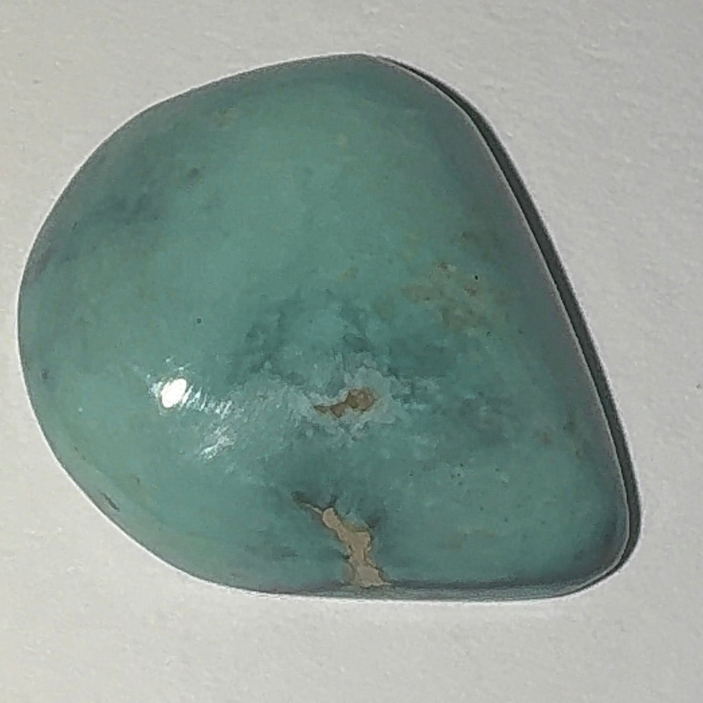 13ct Variscite bi valve pseudomorph
