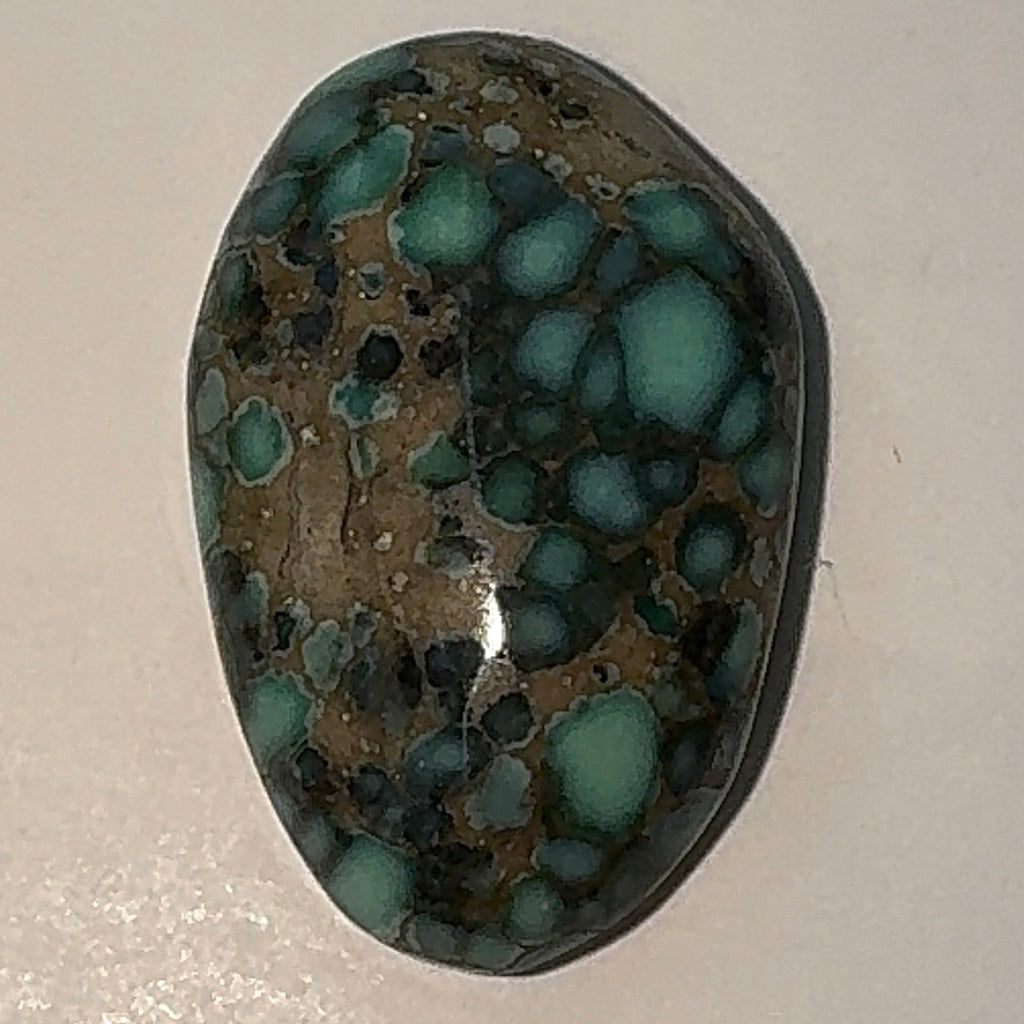 7ct Variscite bi valve pseudomorph