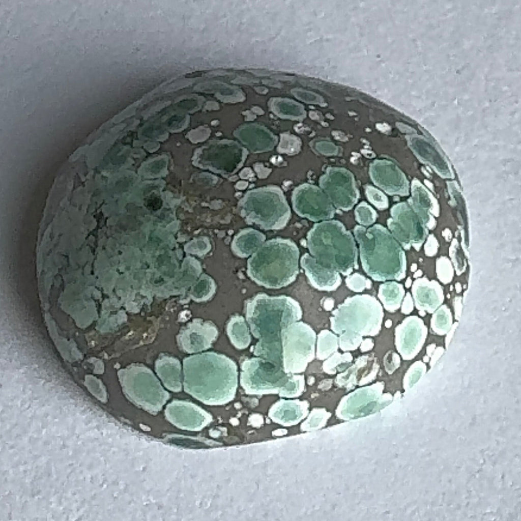 18ct Variscite bi valve pseudomorph
