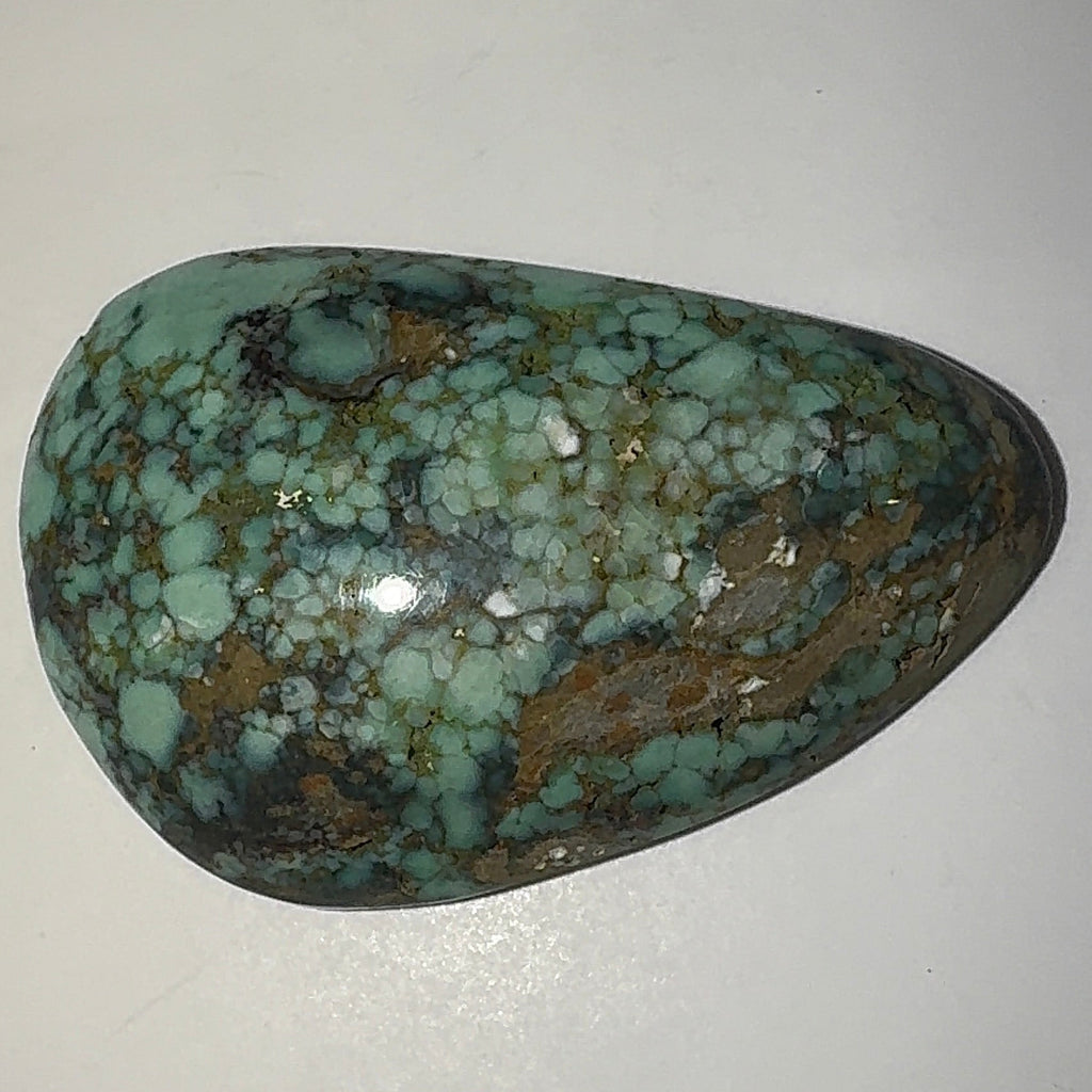 12ct Variscite bi valve pseudomorph
