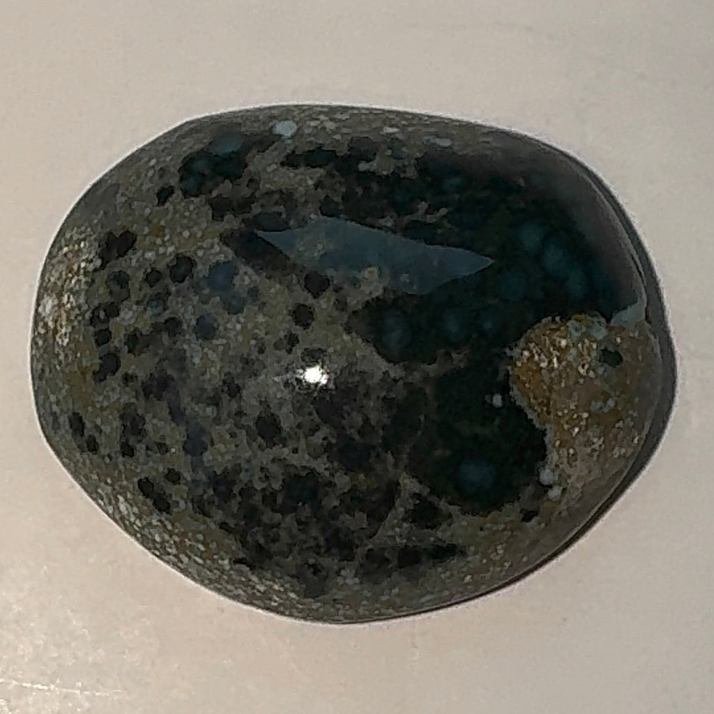 12ct Variscite bi valve pseudomorph