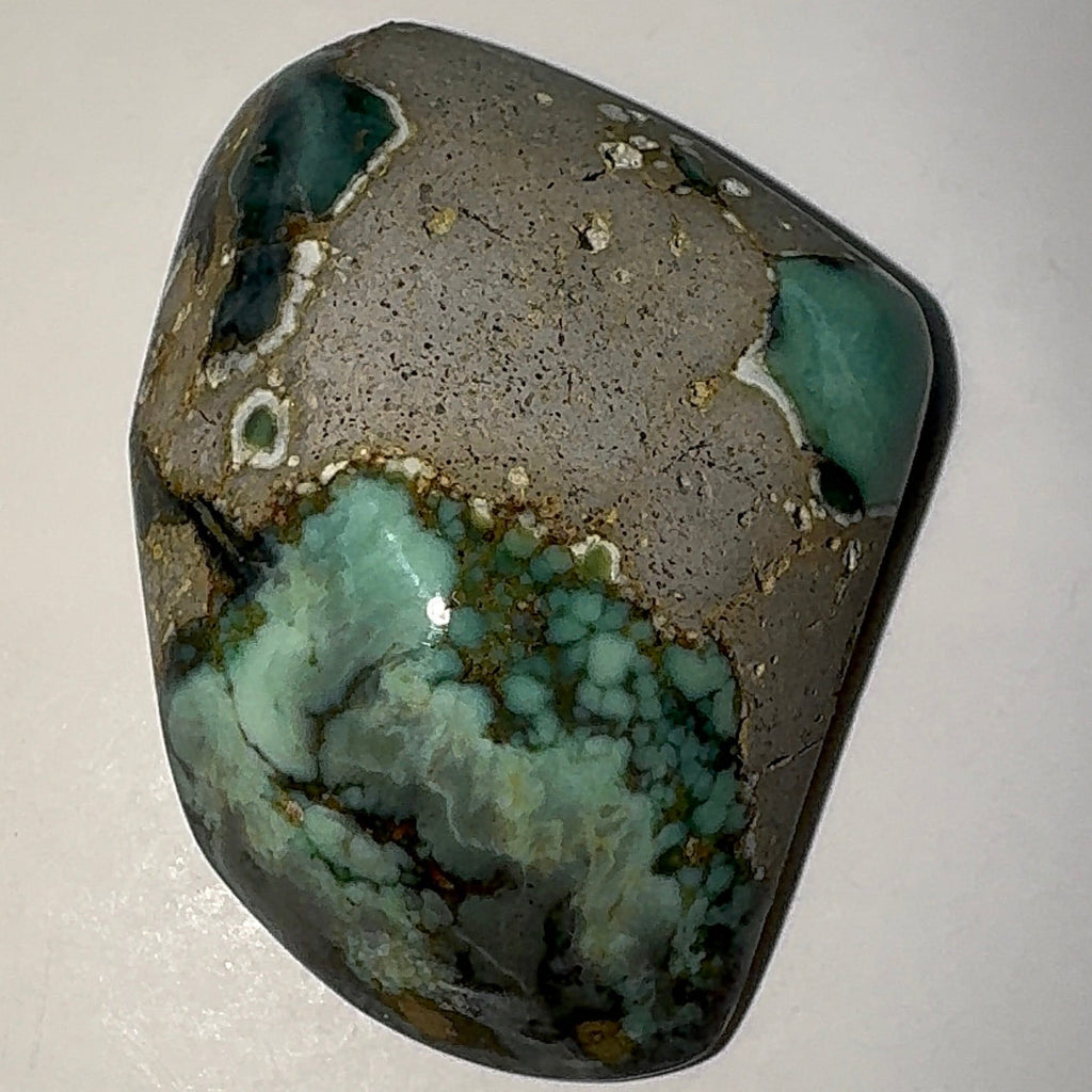 13ct Variscite bi valve pseudomorph