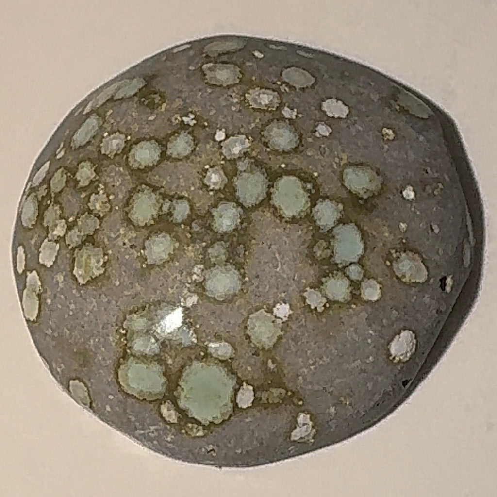 3ct Variscite bi valve pseudomorph