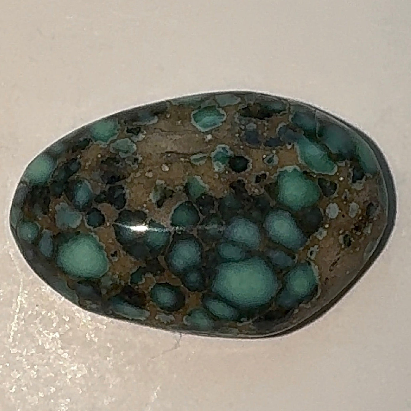 7ct Variscite bi valve pseudomorph