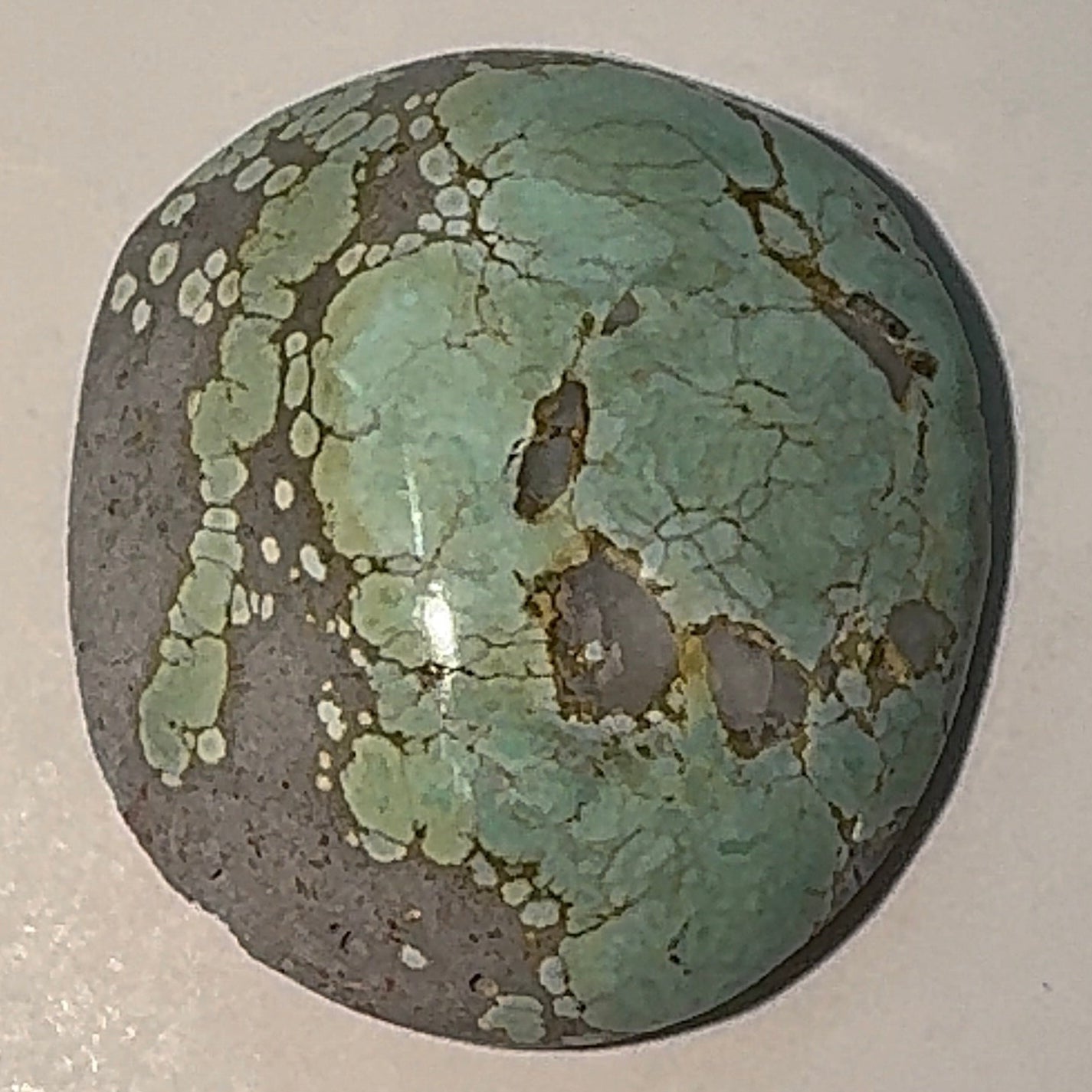 7ct Variscite bi valve pseudomorph