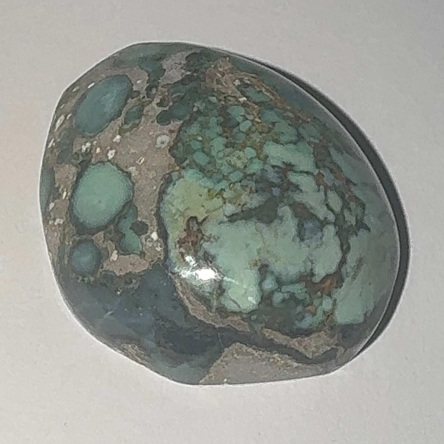 40ct Variscite bi valve pseudomorph