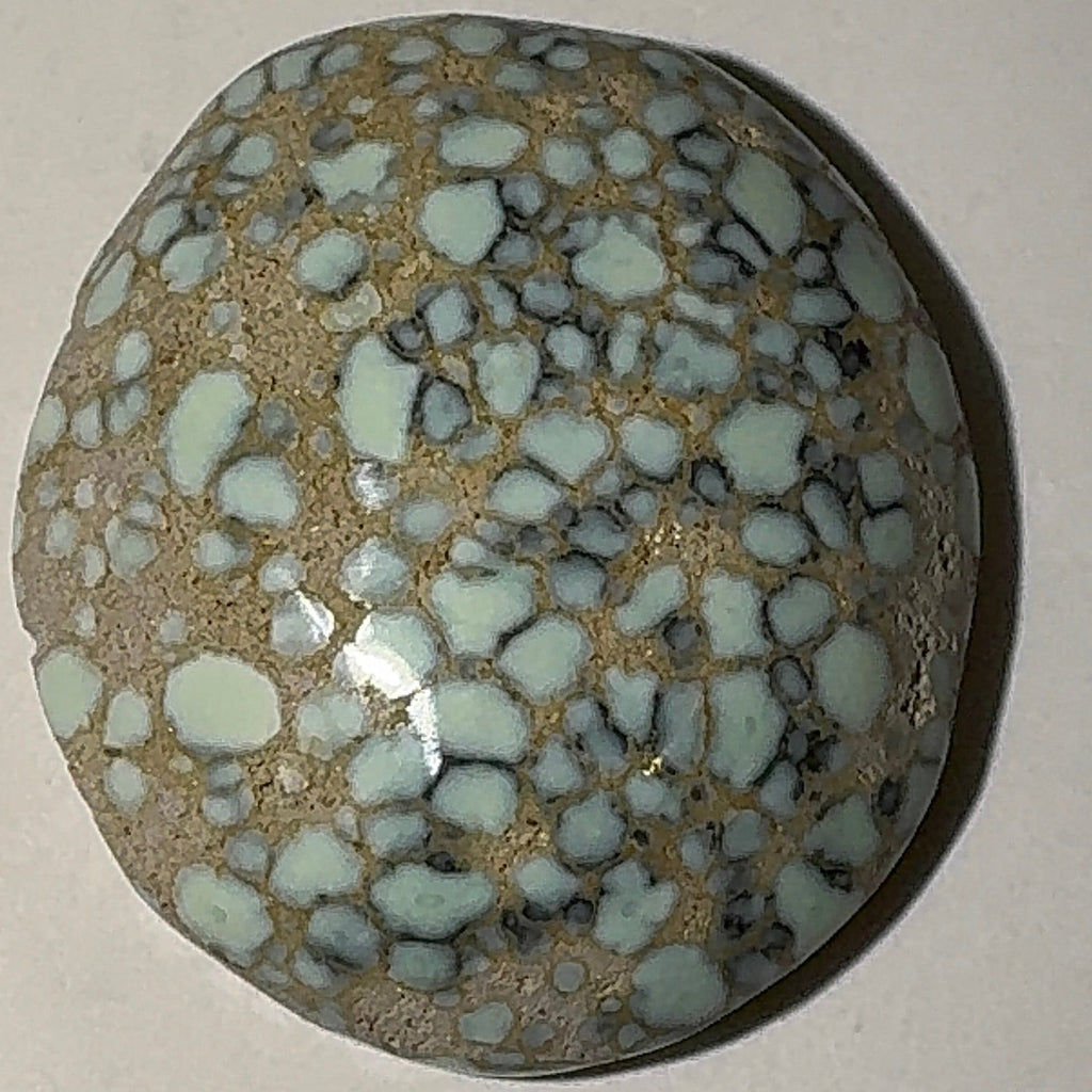 5ct Variscite bi valve pseudomorph