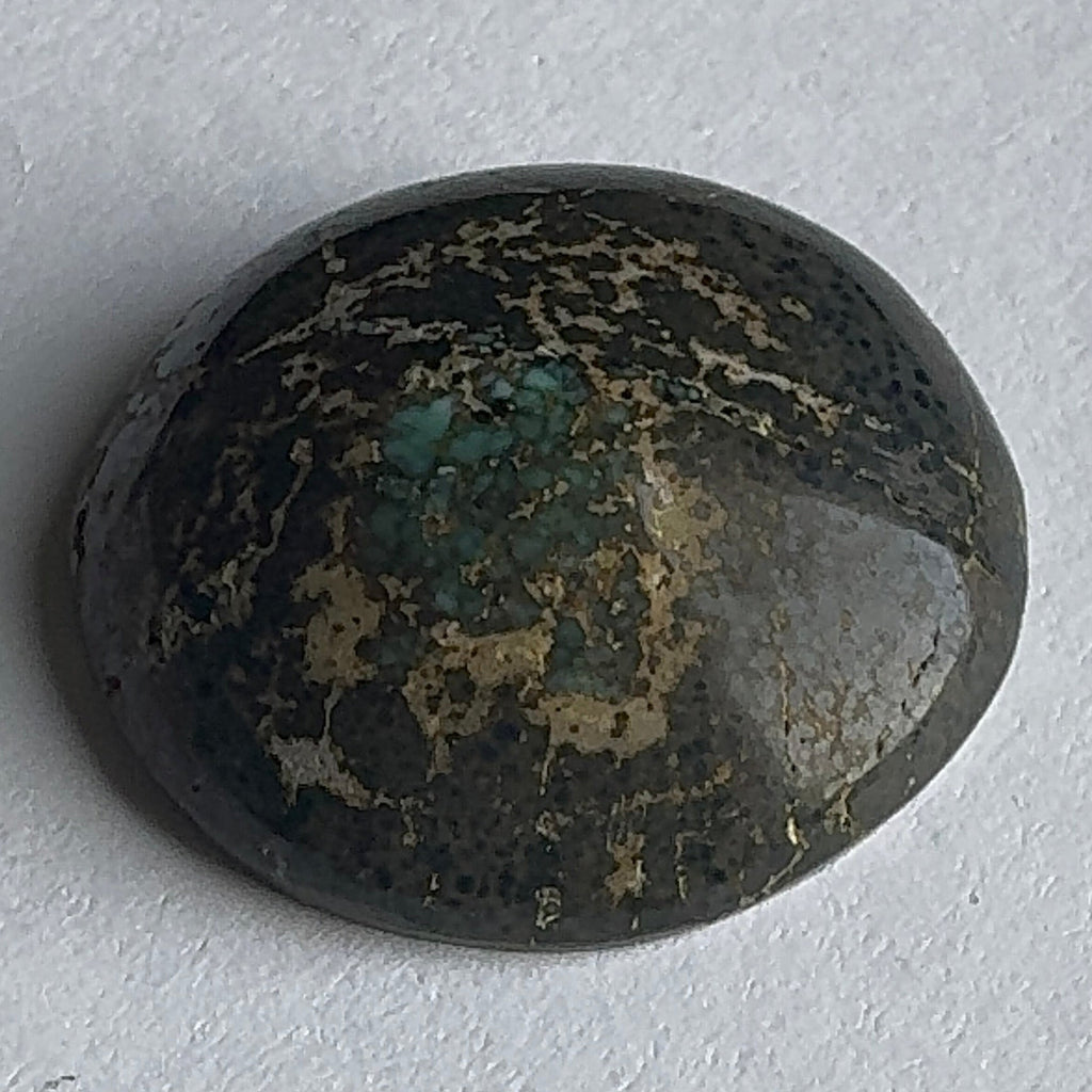 45ct Variscite bi valve pseudomorph