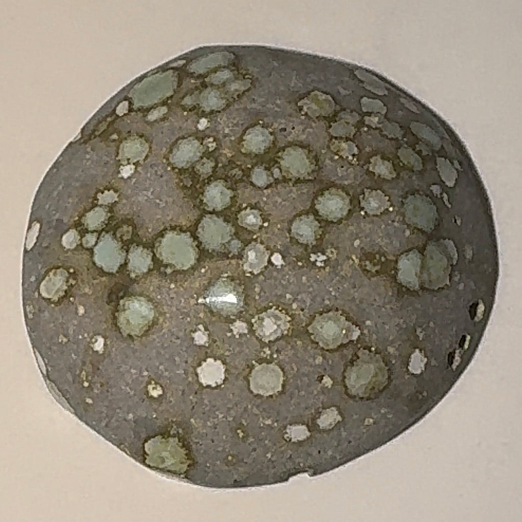 3ct Variscite bi valve pseudomorph