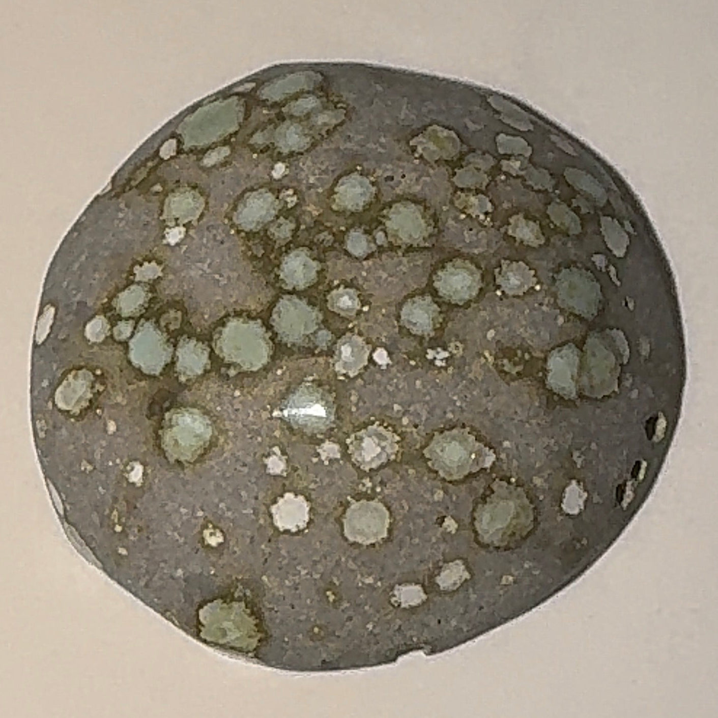 3ct Variscite bi valve pseudomorph