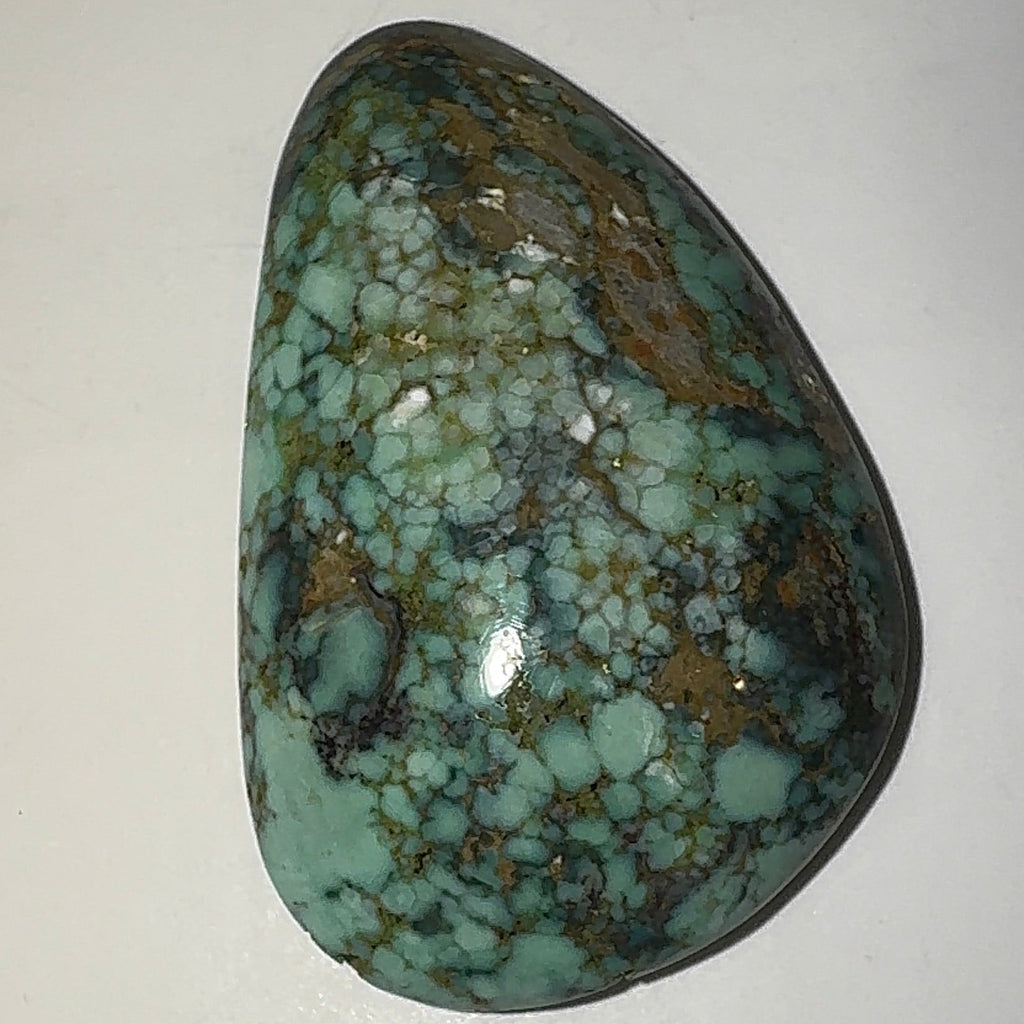 12ct Variscite bi valve pseudomorph