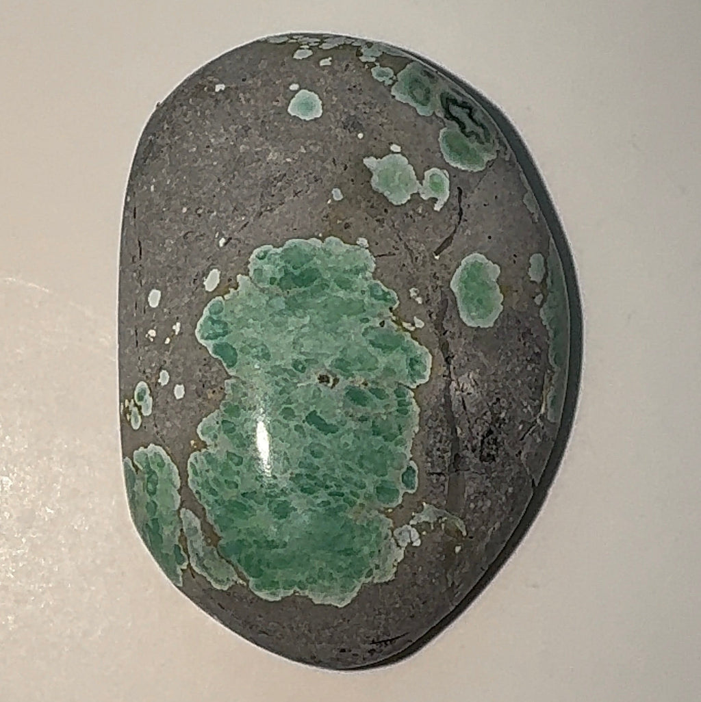 19ct Variscite bi valve pseudomorph