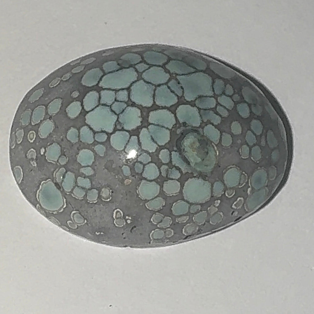 12ct Variscite bi valve pseudomorph