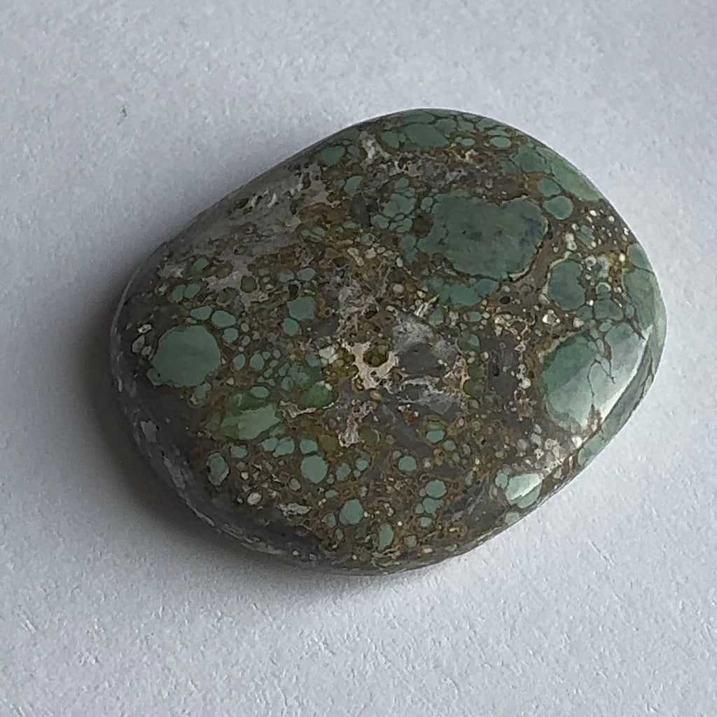 55ct Variscite bi valve pseudomorph