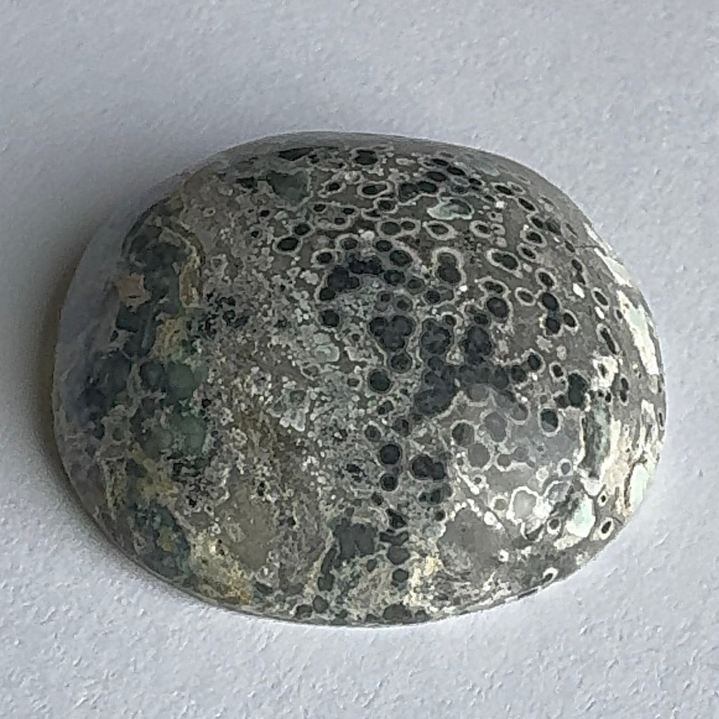 62ct Variscite bi valve pseudomorph