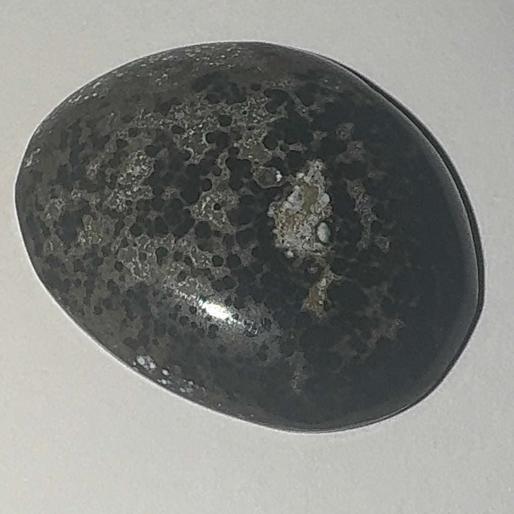 19ct Variscite bi valve pseudomorph