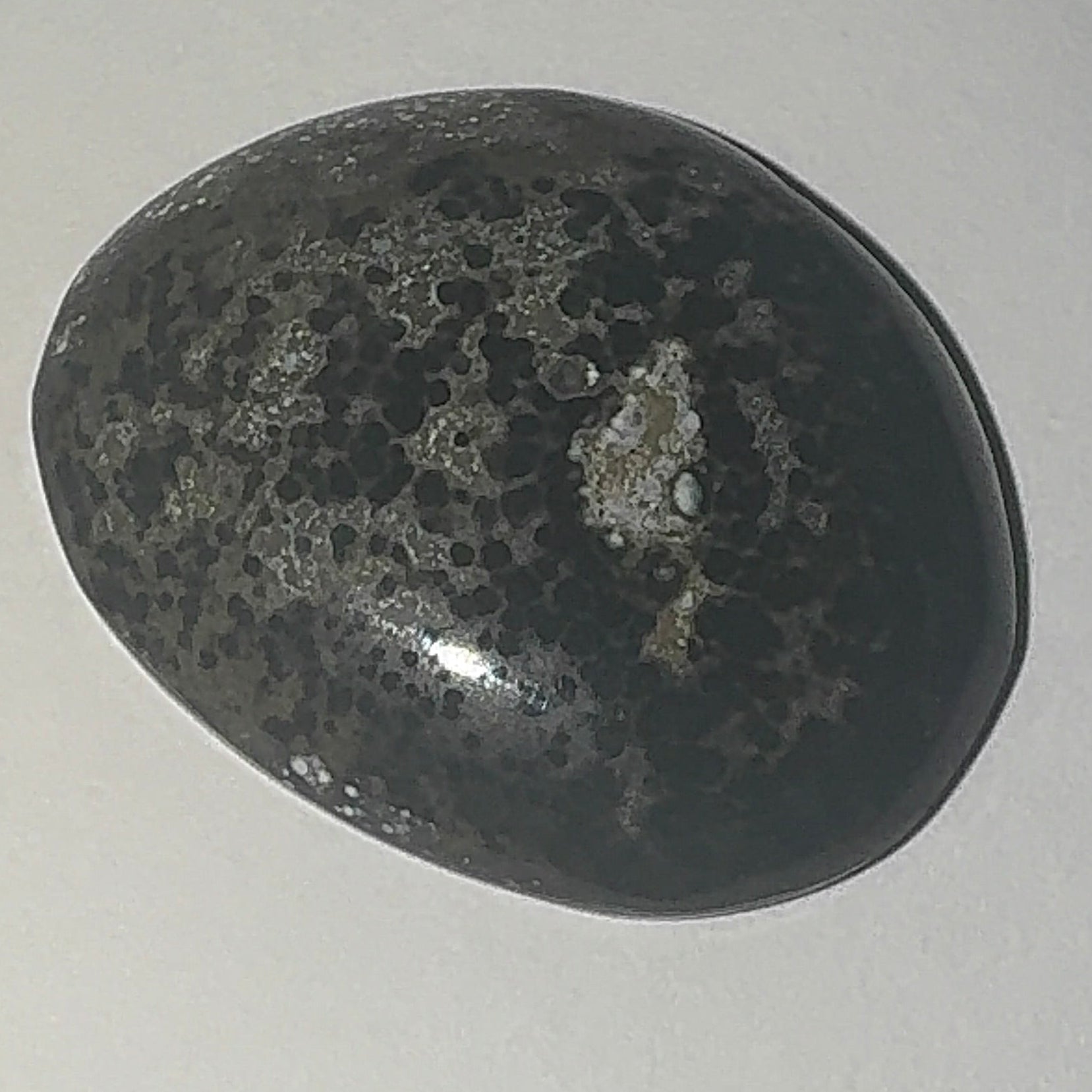 19ct Variscite bi valve pseudomorph