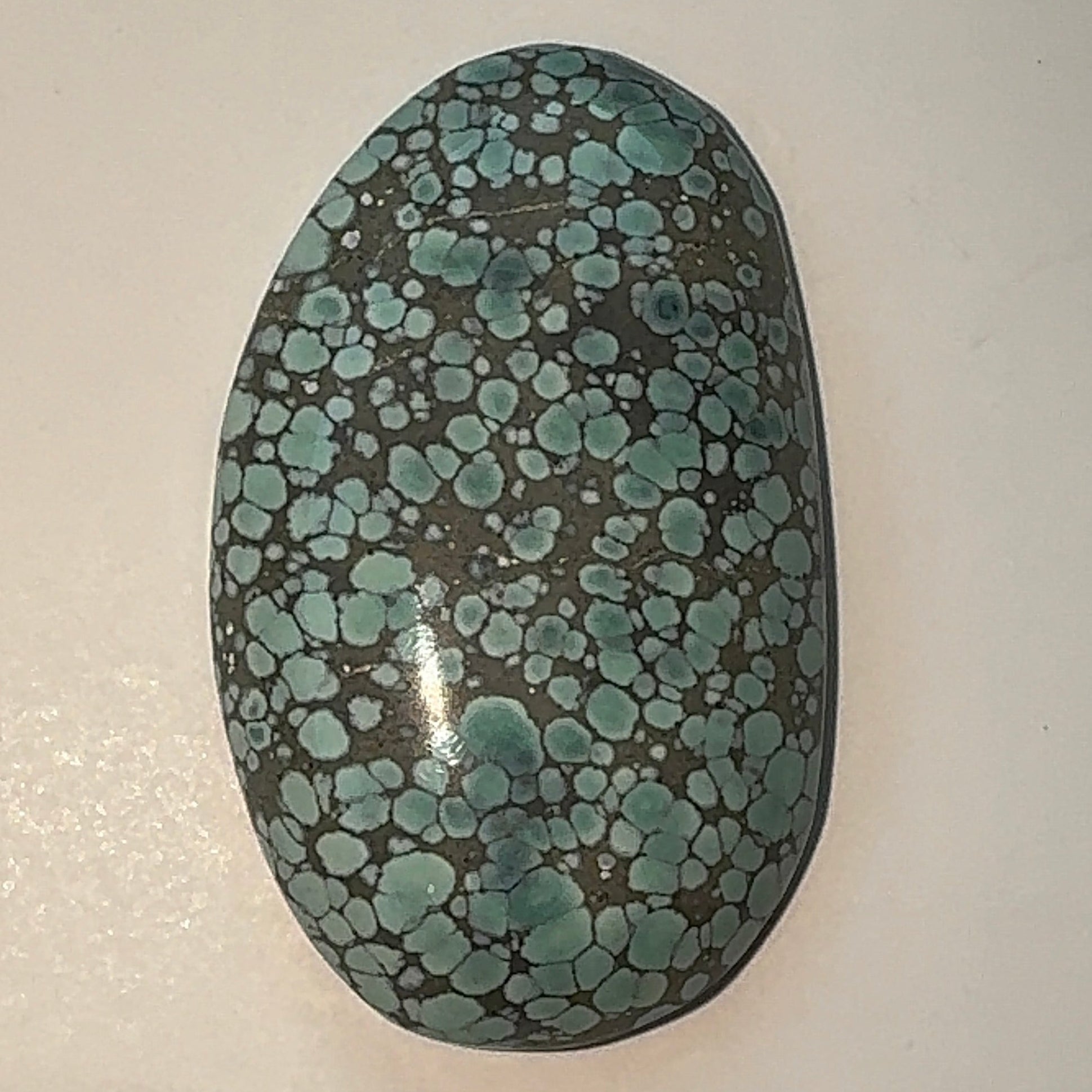 41ct Variscite bi valve pseudomorph