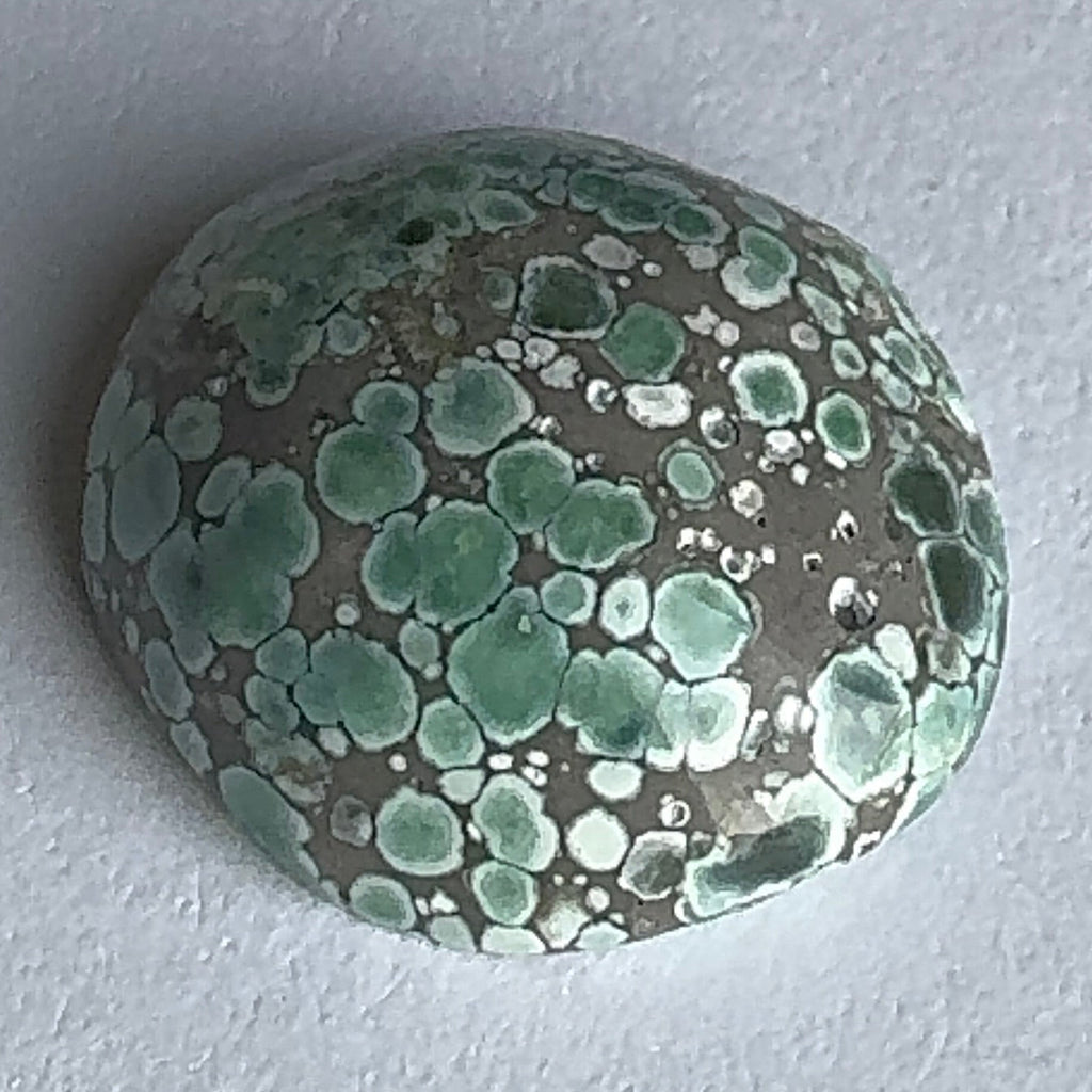 18ct Variscite bi valve pseudomorph