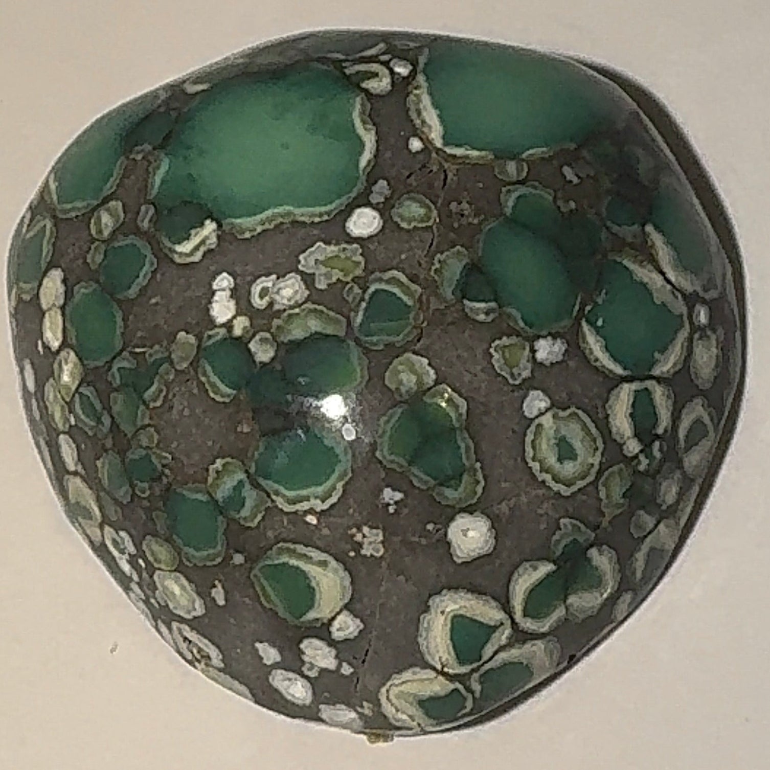 10ct Variscite bi valve pseudomorph