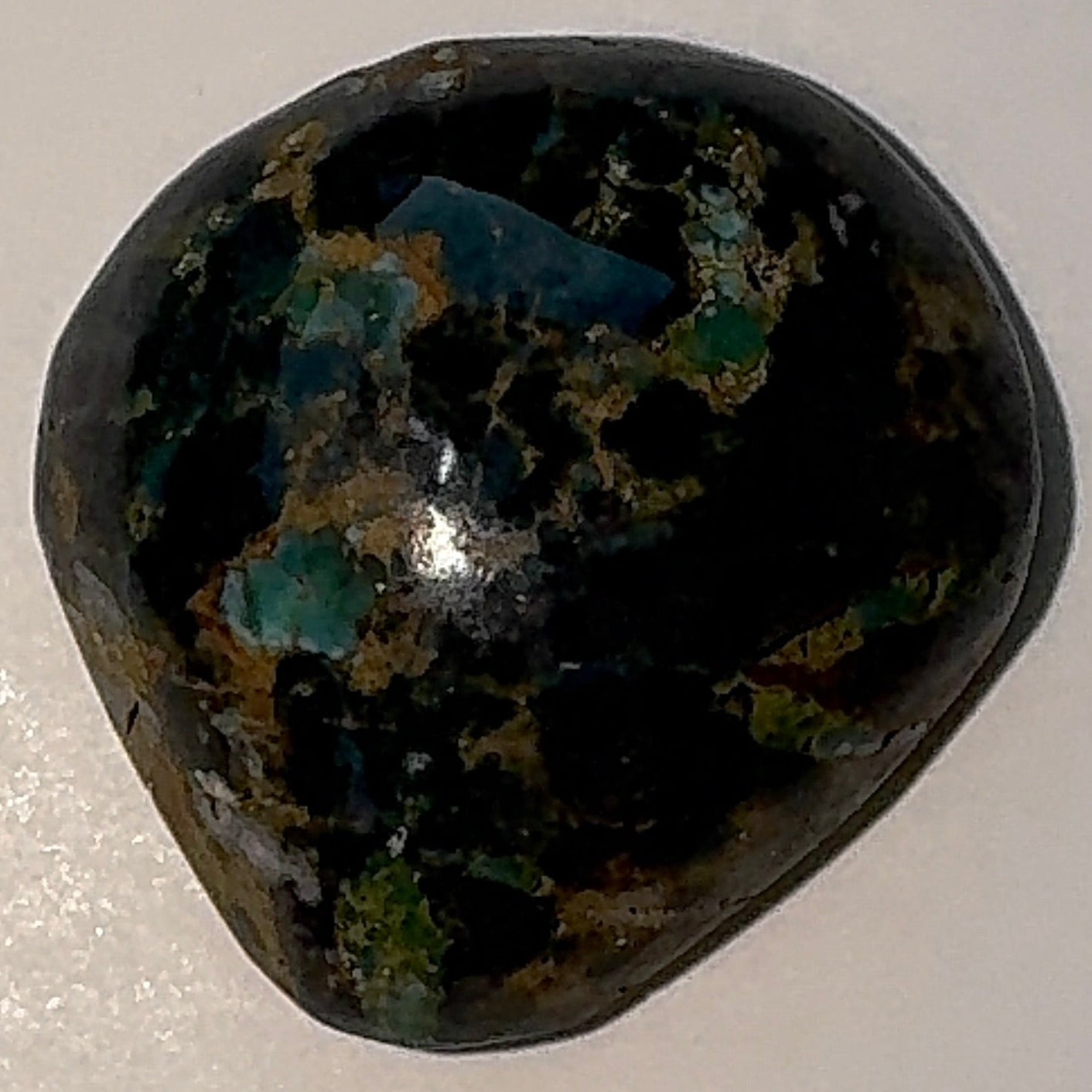 8ct Variscite bi valve pseudomorph