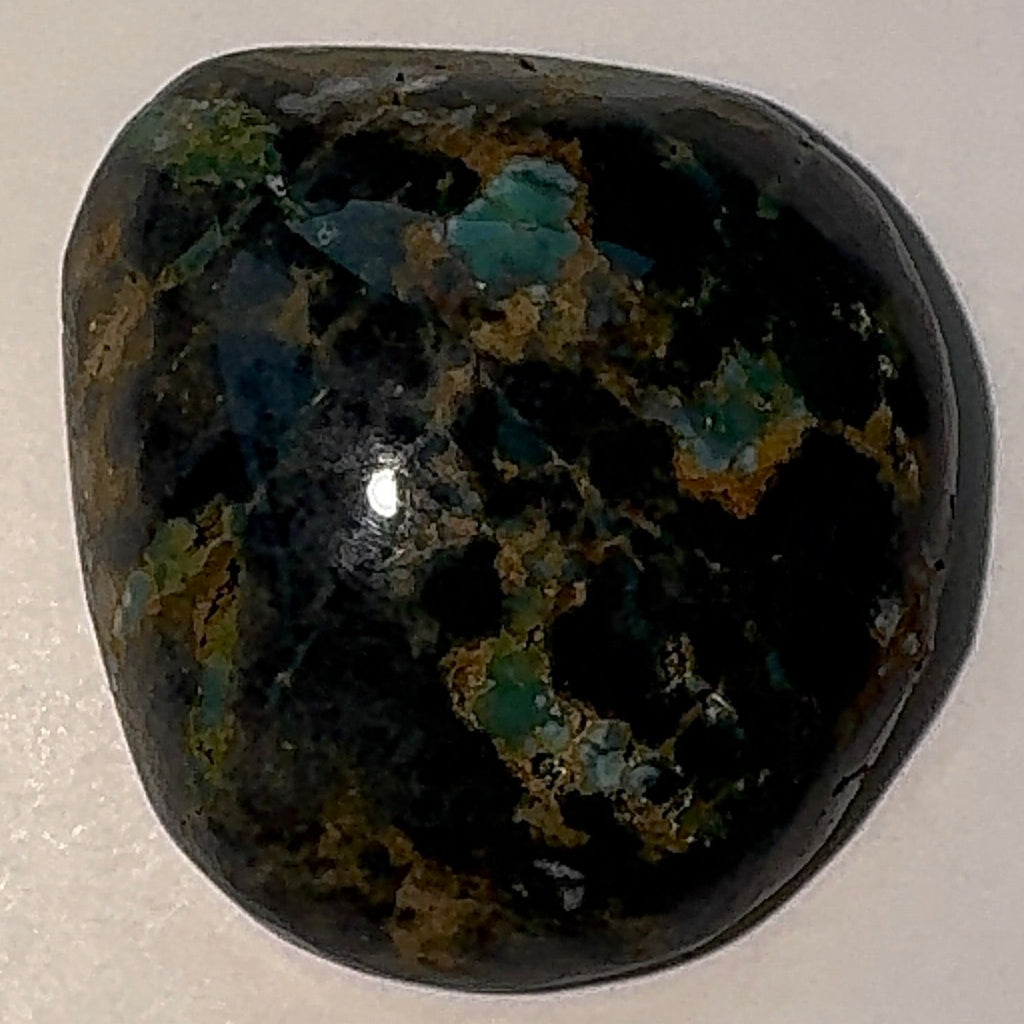 8ct Variscite bi valve pseudomorph