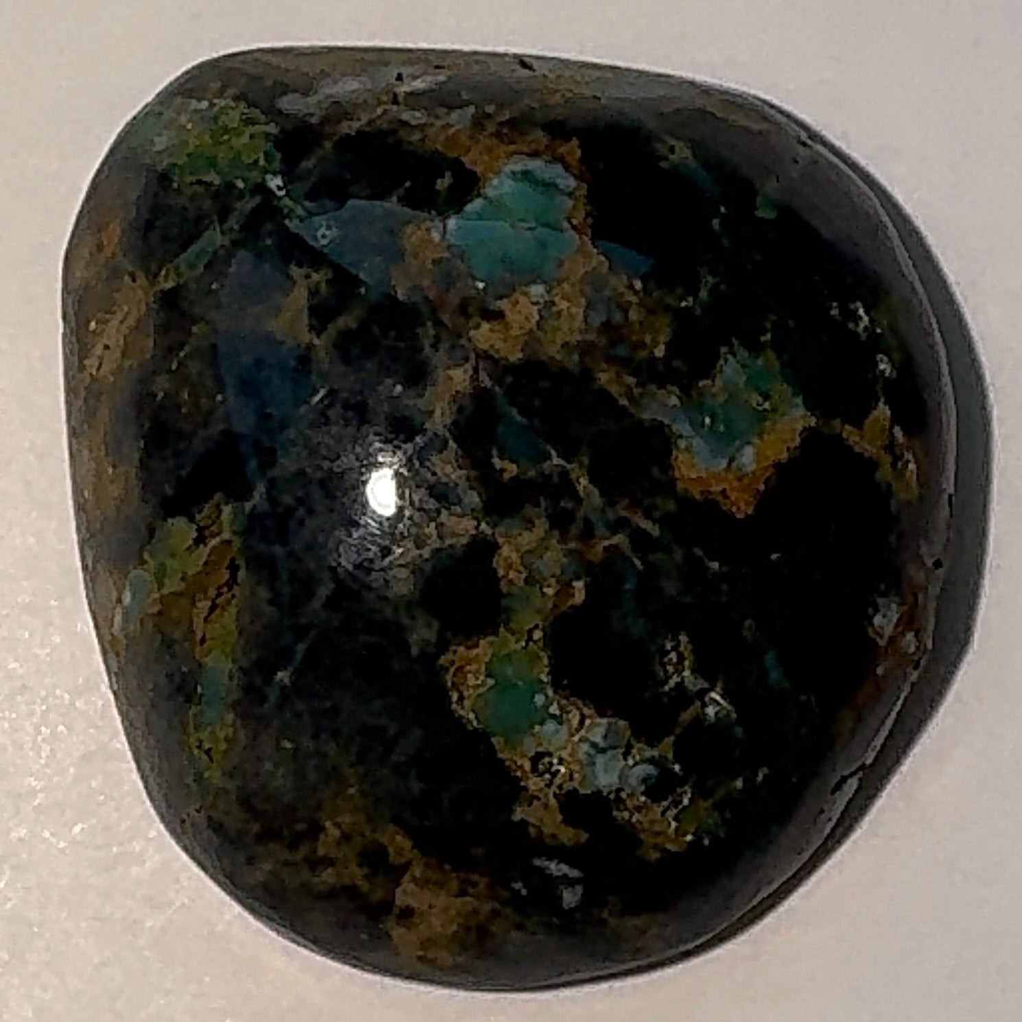 8ct Variscite bi valve pseudomorph