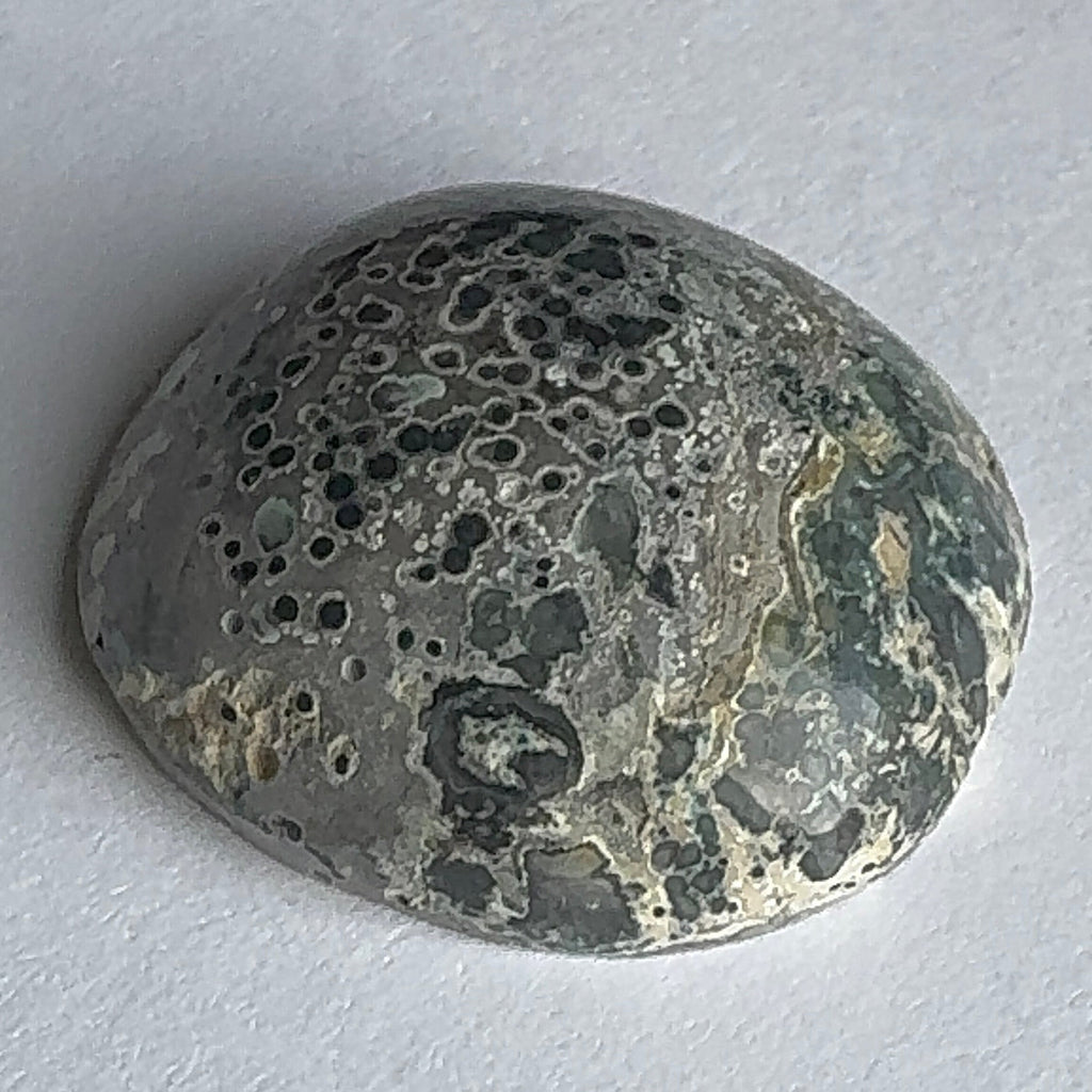 62ct Variscite bi valve pseudomorph