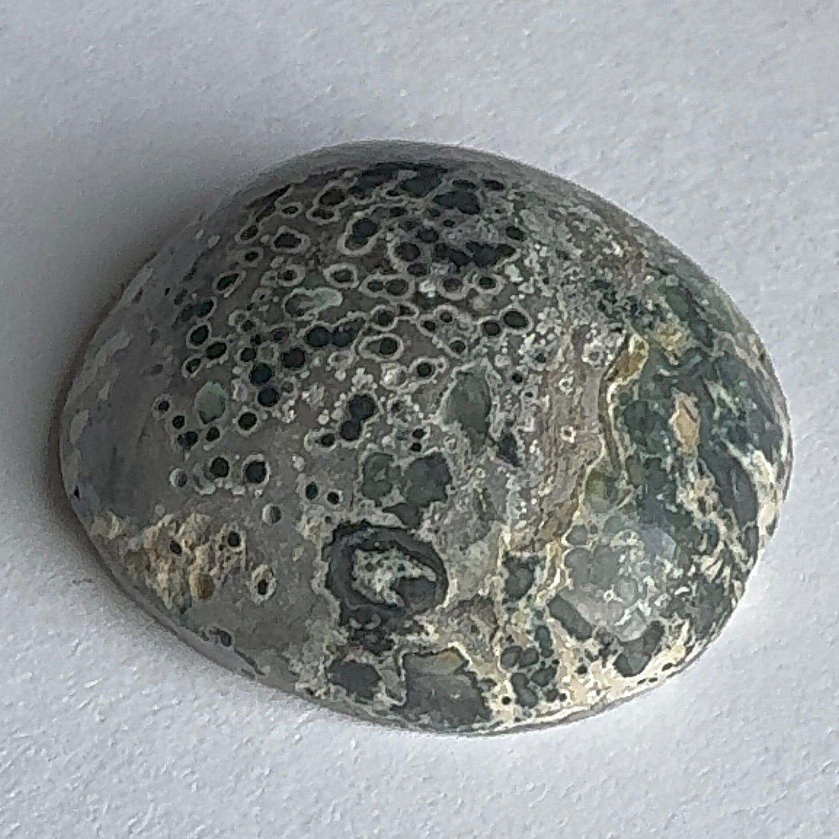 62ct Variscite bi valve pseudomorph