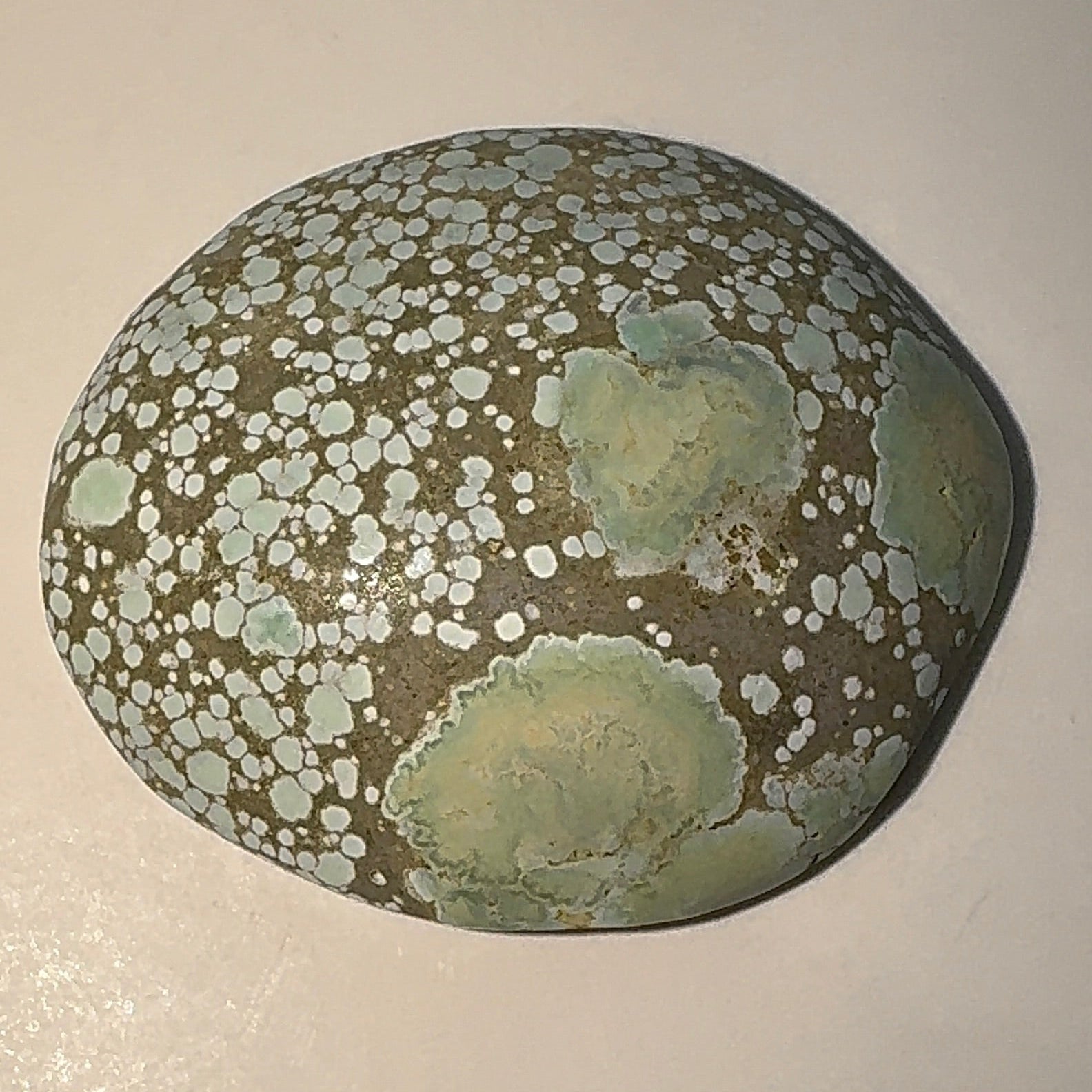 9ct Variscite bi valve pseudomorph