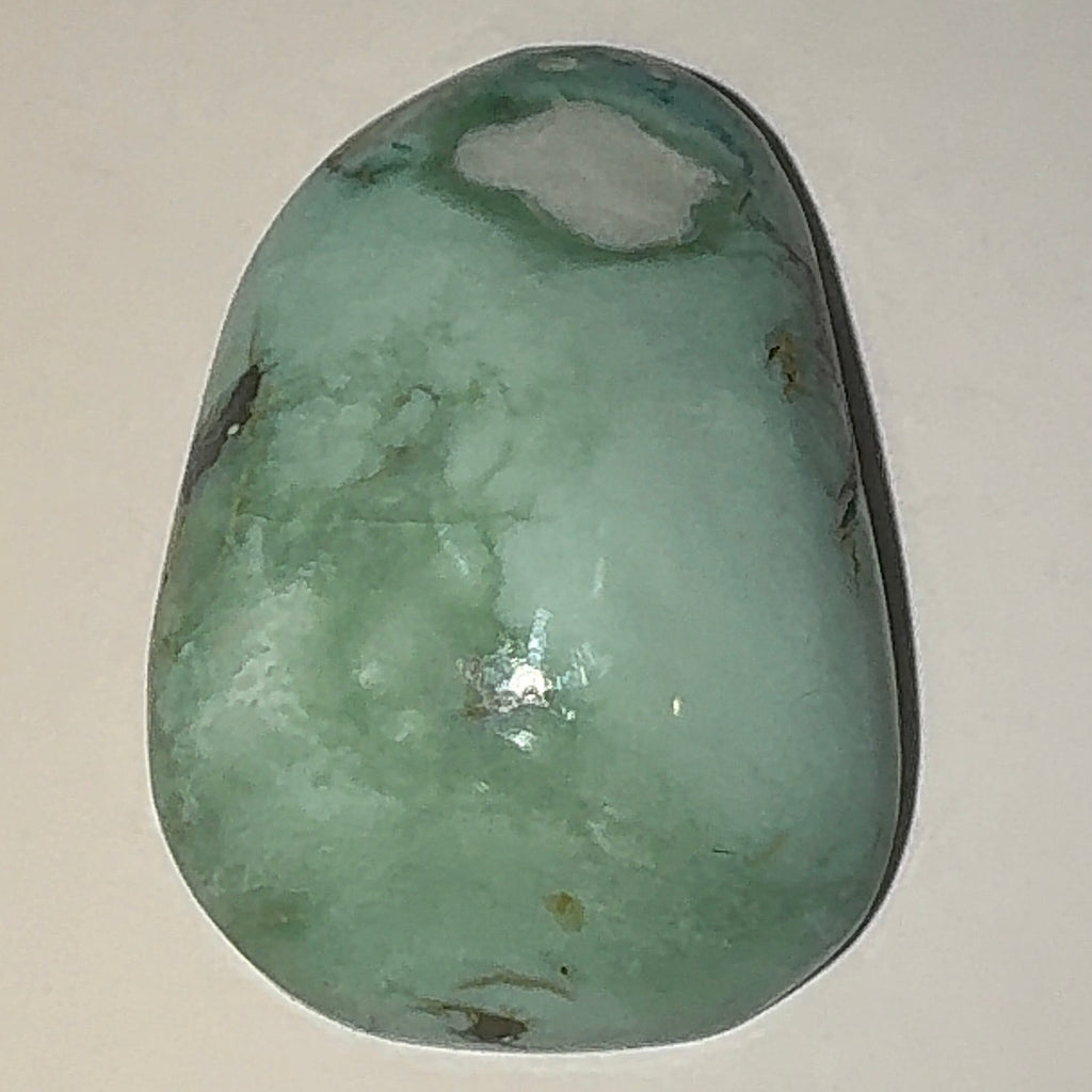 11ct Variscite bi valve pseudomorph