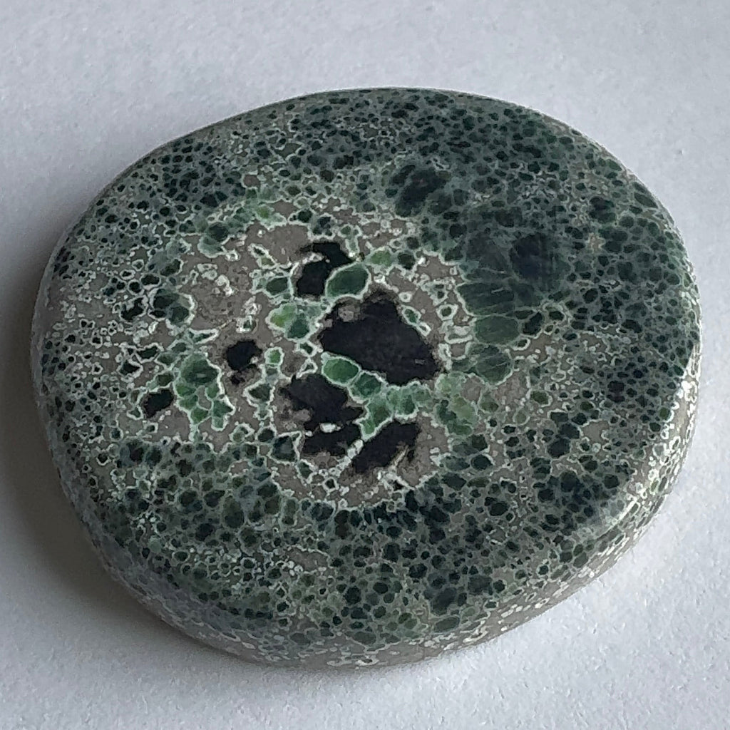 74ct Variscite bi valve pseudomorph