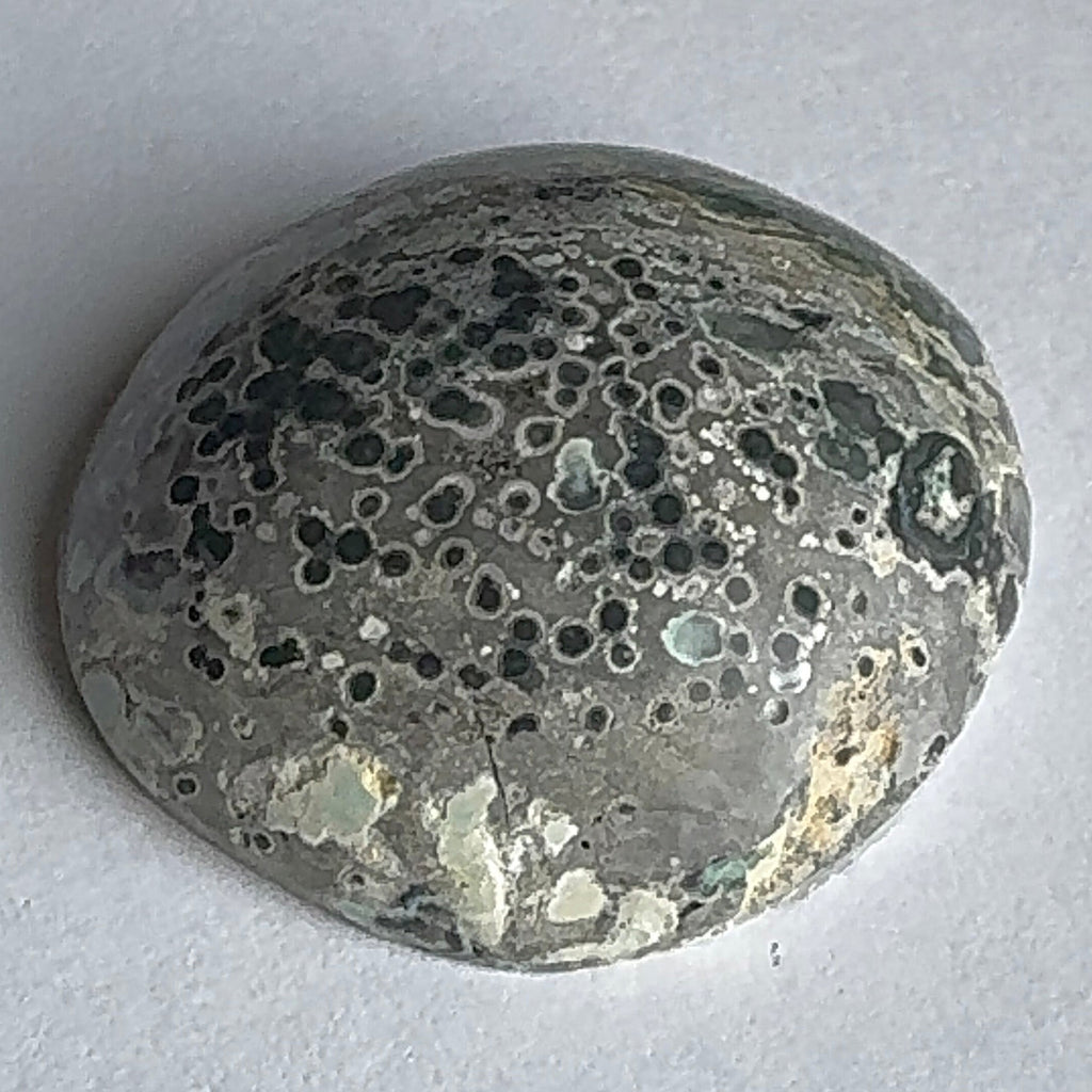 62ct Variscite bi valve pseudomorph