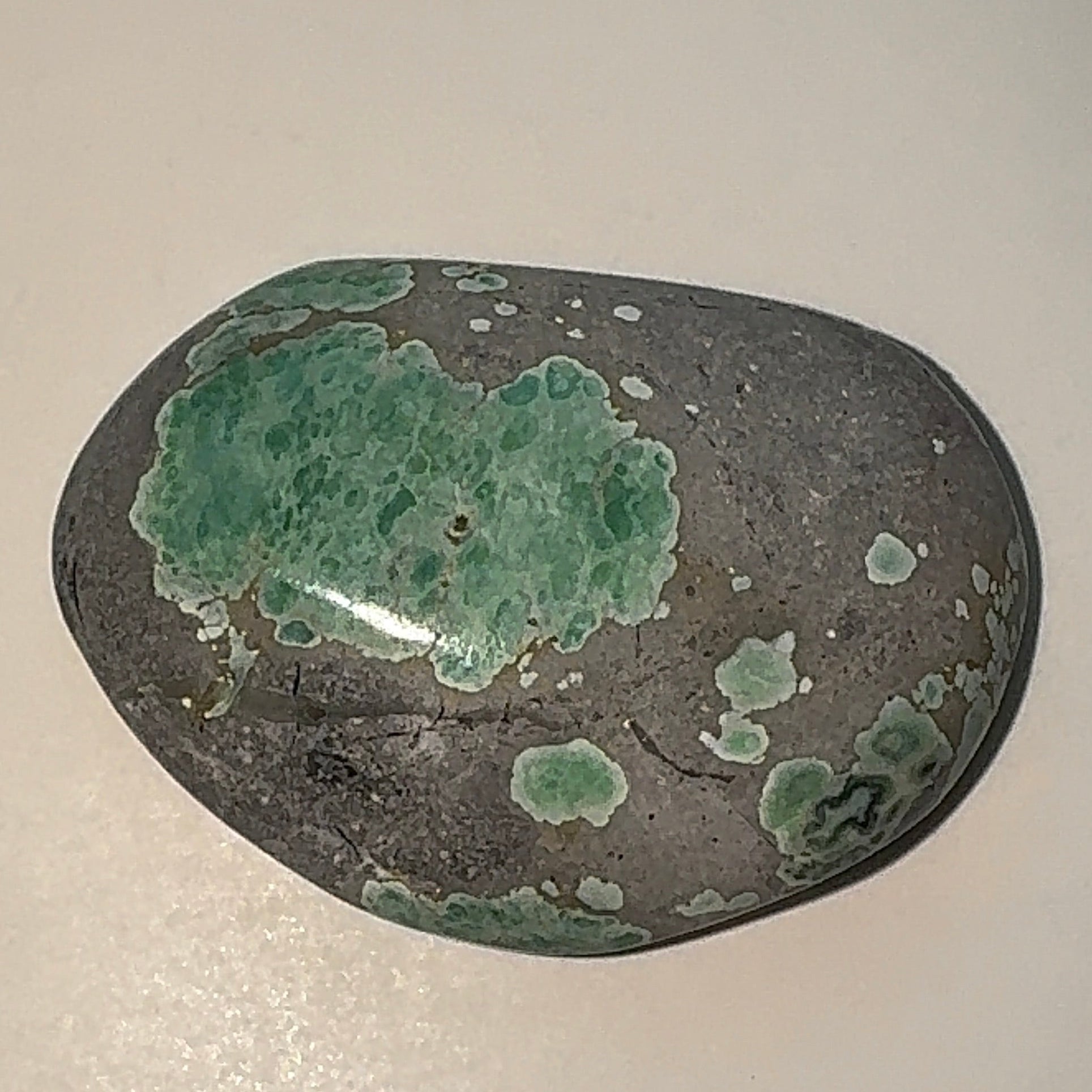 19ct Variscite bi valve pseudomorph