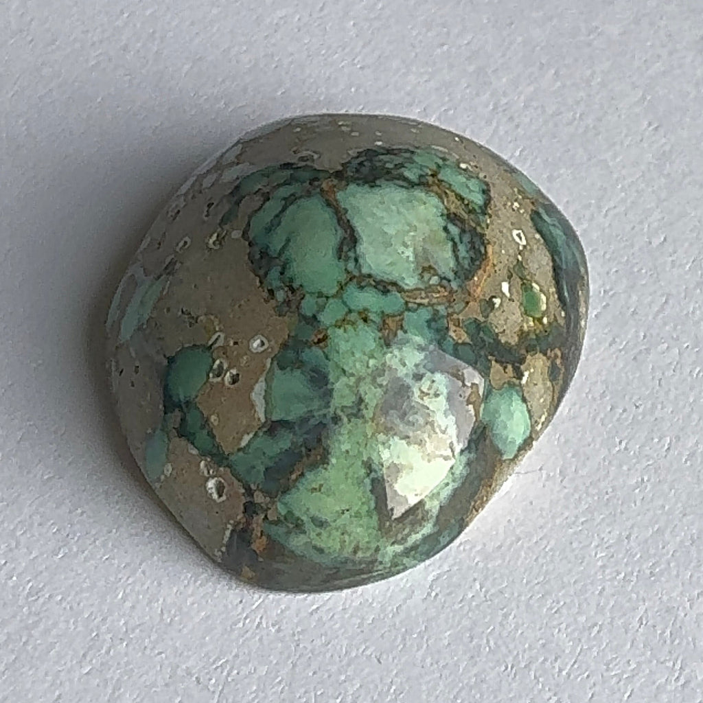 52ct Variscite bi valve pseudomorph