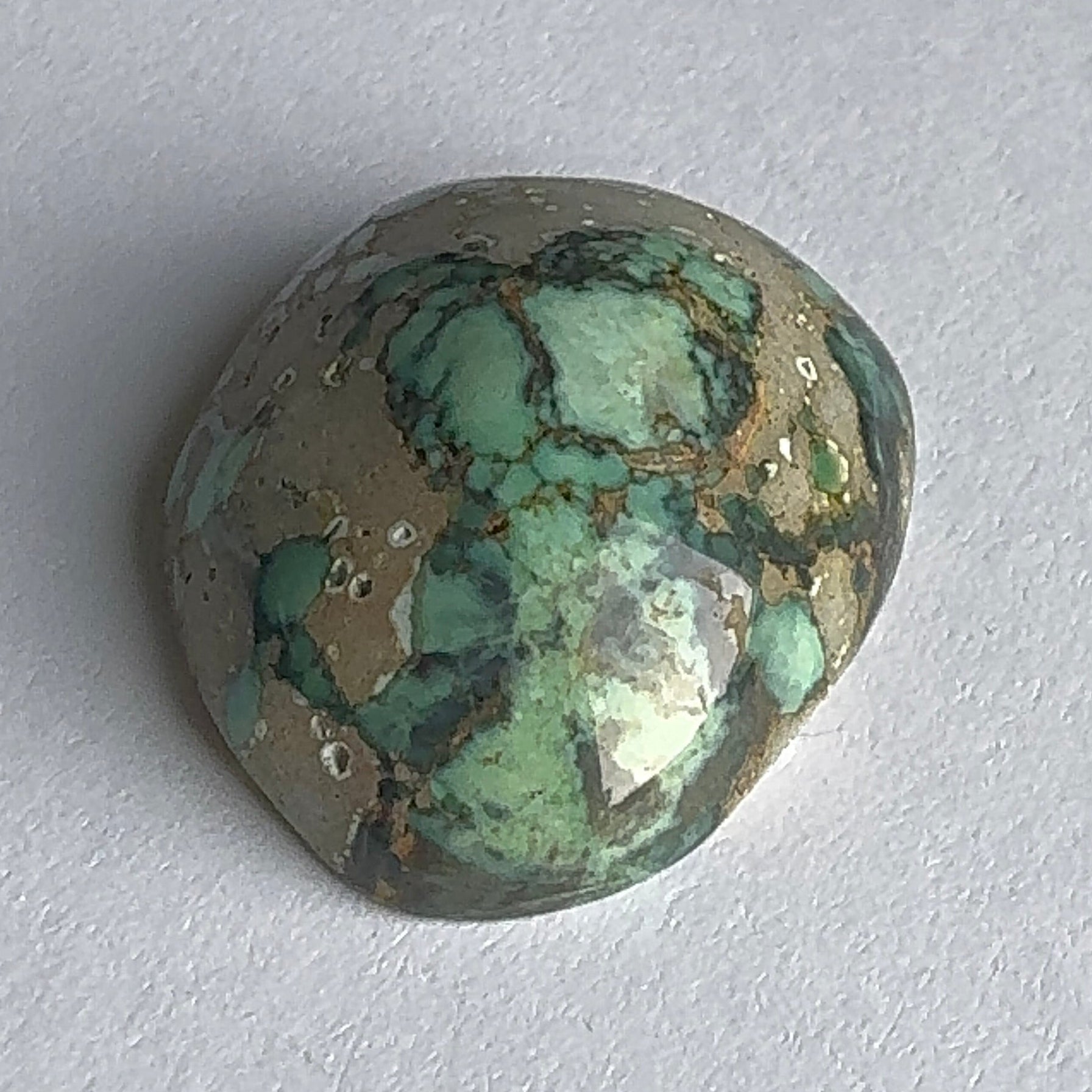 52ct Variscite bi valve pseudomorph