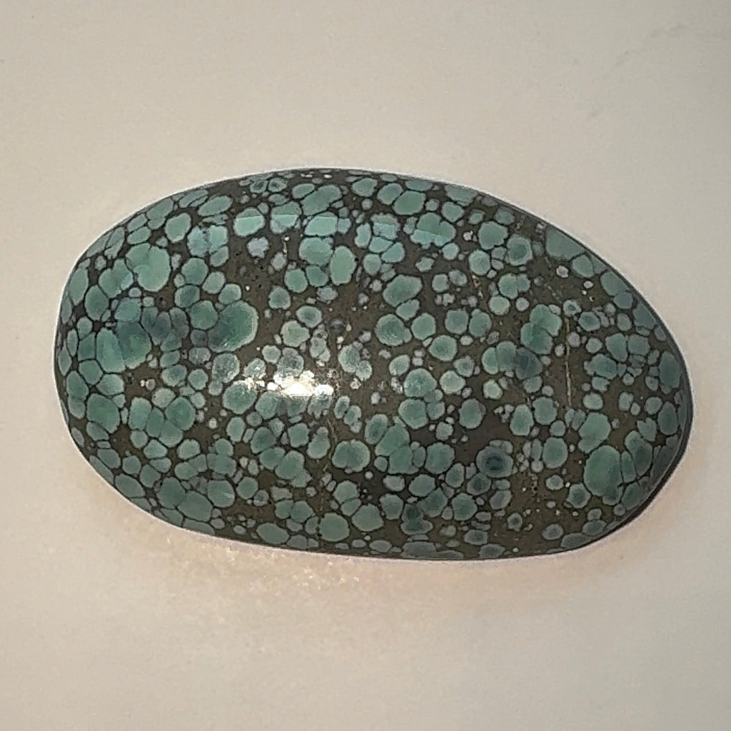 41ct Variscite bi valve pseudomorph