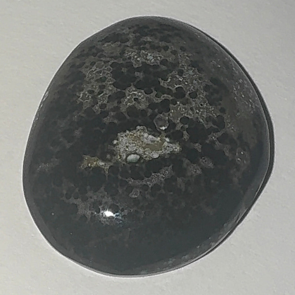 19ct Variscite bi valve pseudomorph