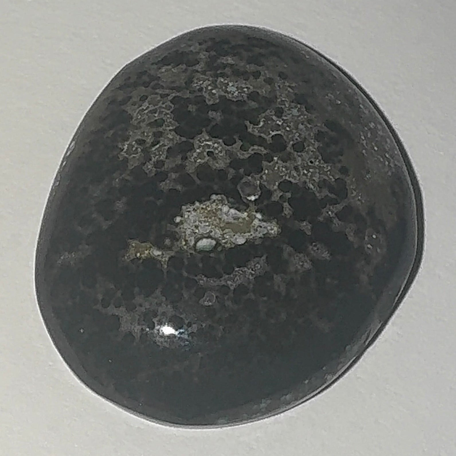 19ct Variscite bi valve pseudomorph