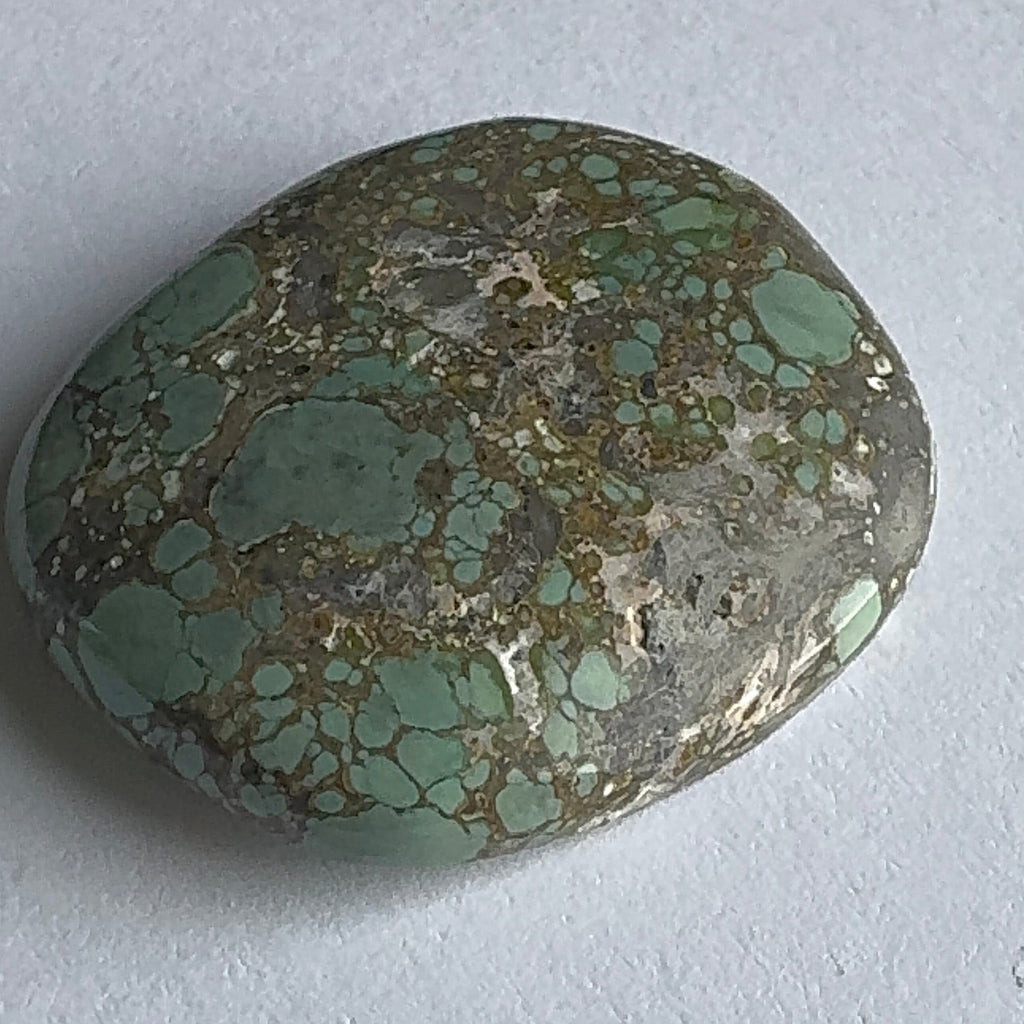 55ct Variscite bi valve pseudomorph