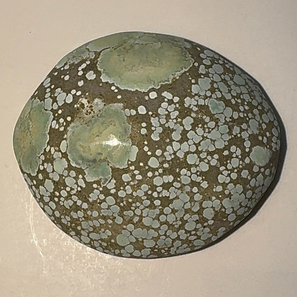 9ct Variscite bi valve pseudomorph