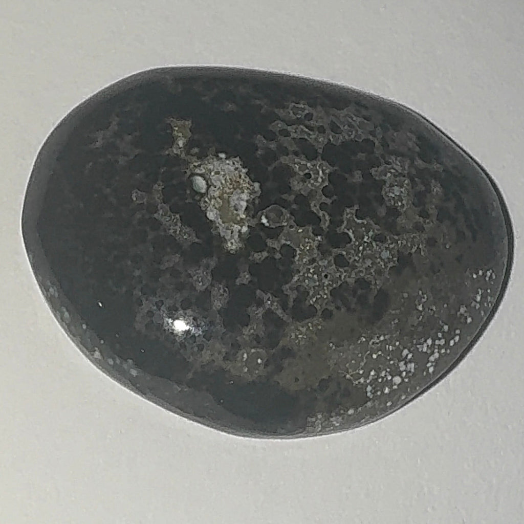 19ct Variscite bi valve pseudomorph