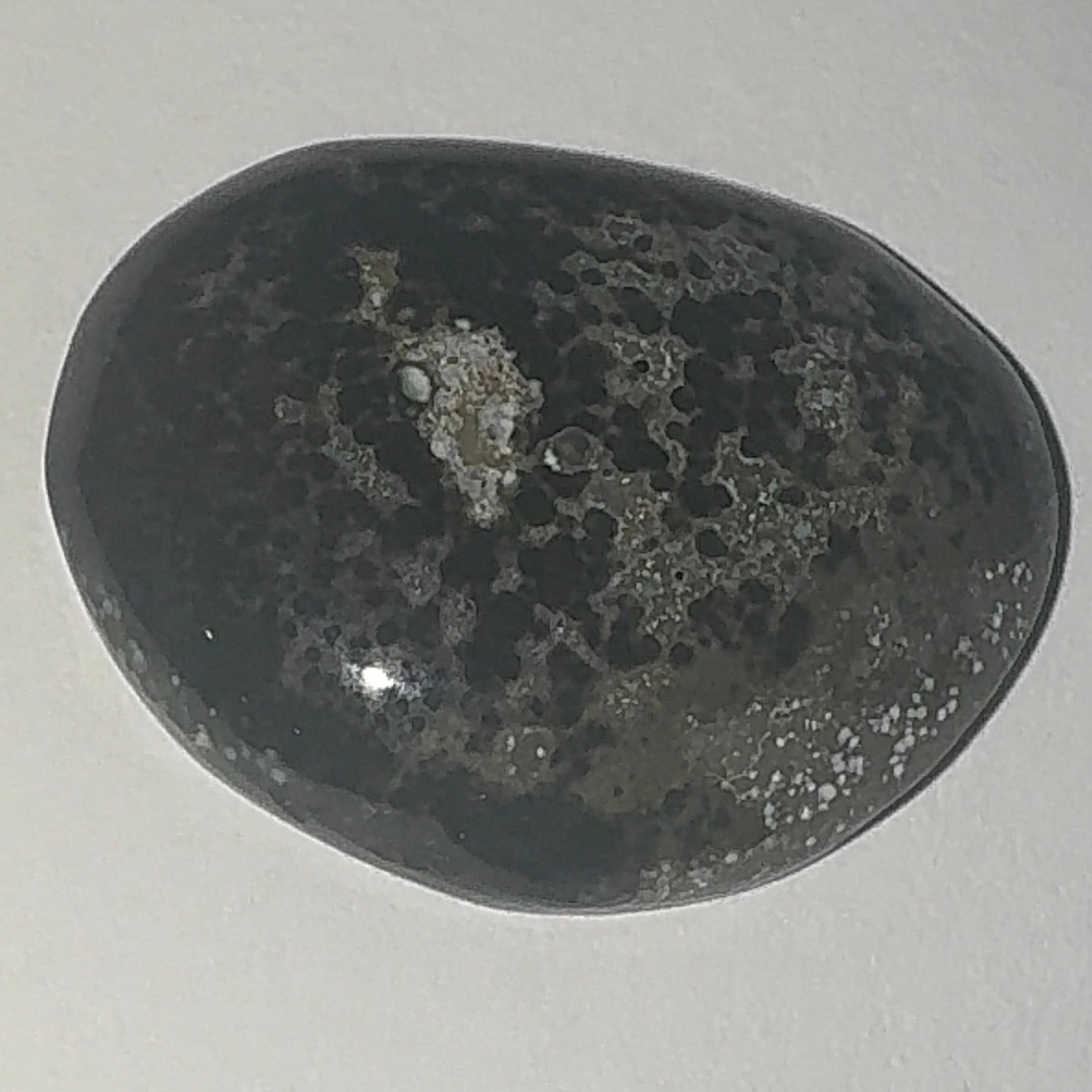 19ct Variscite bi valve pseudomorph