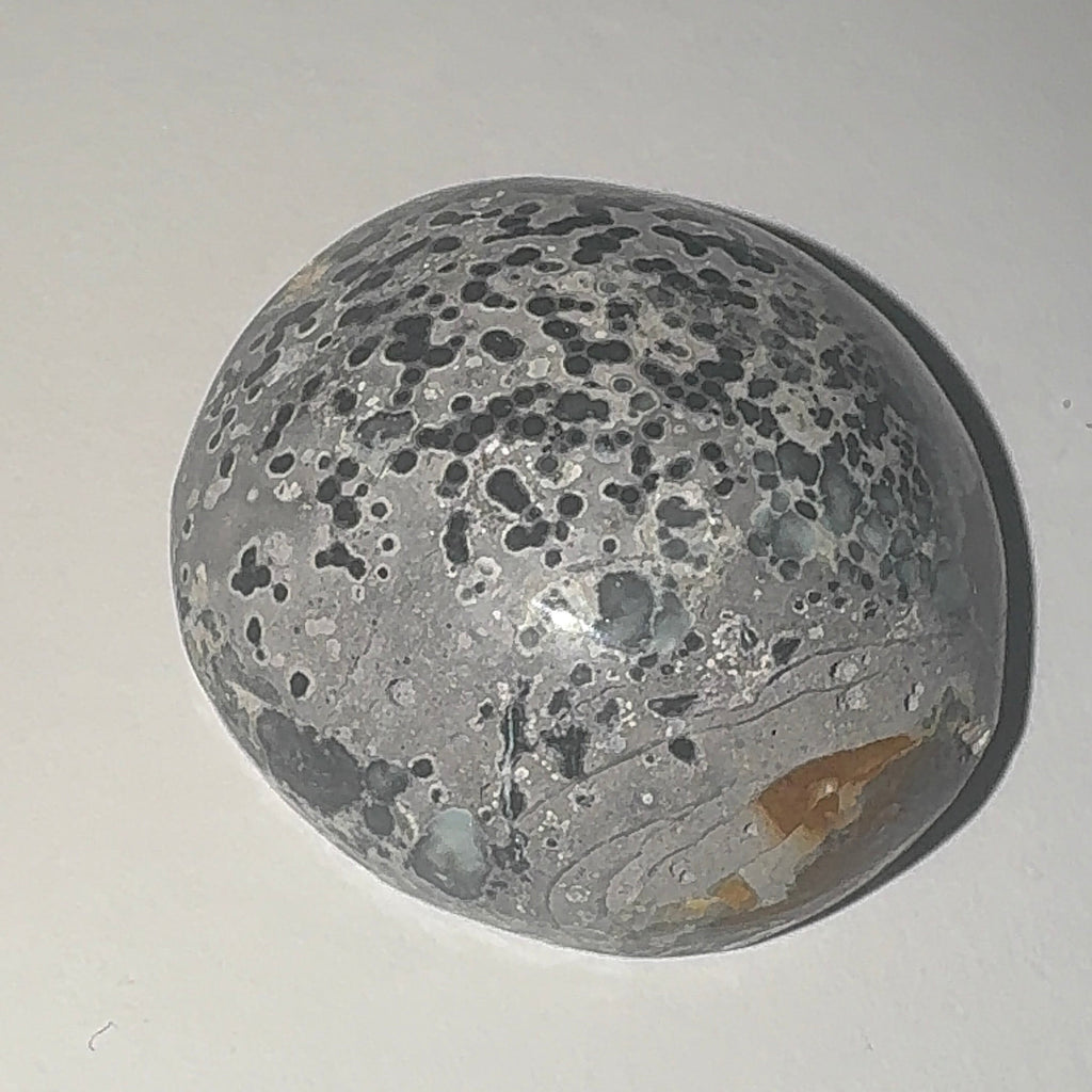 80ct Variscite bi valve pseudomorph