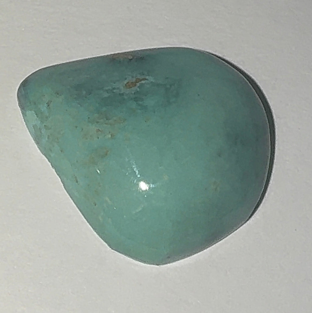 13ct Variscite bi valve pseudomorph